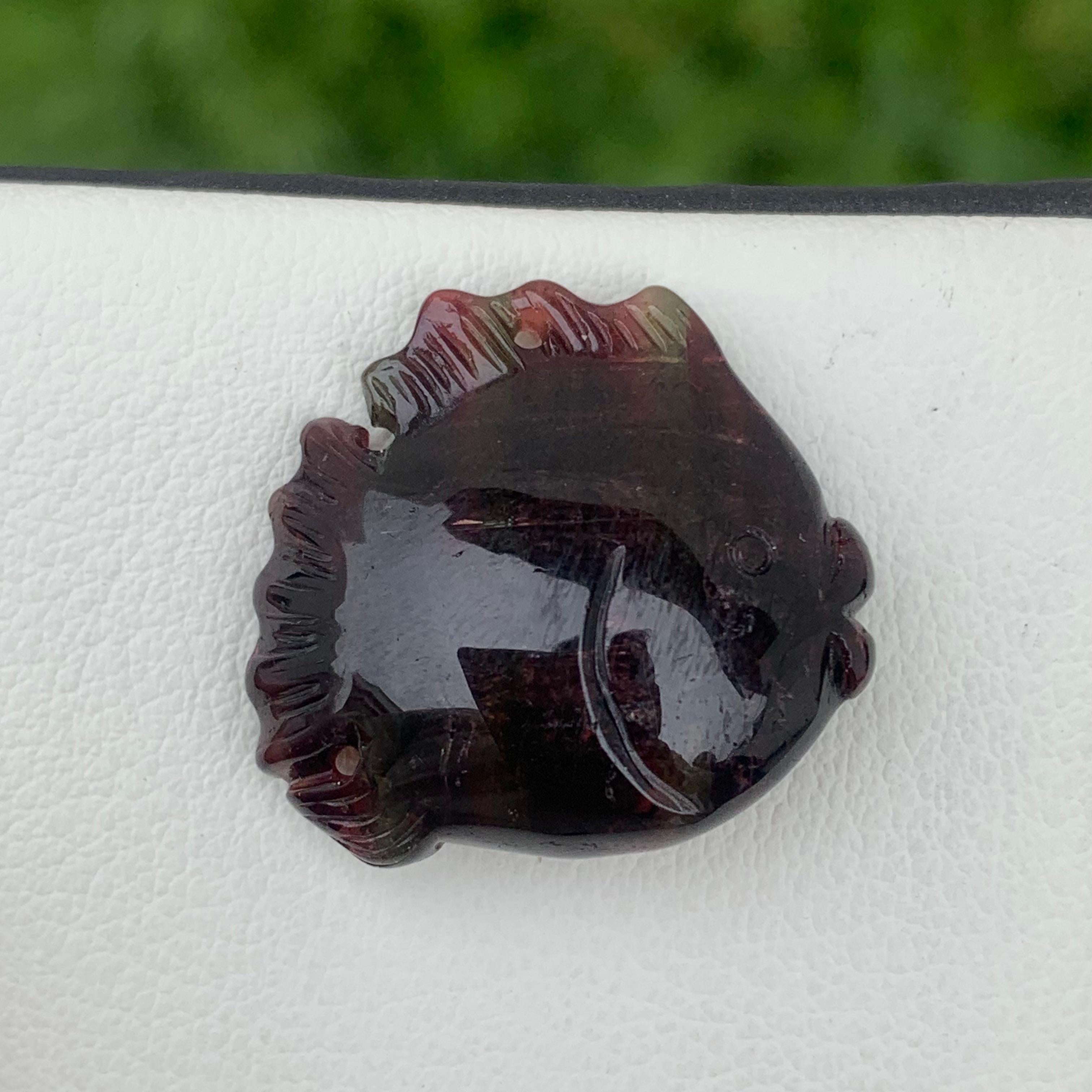 Stunning 37.10 Carats Bi Color Fish Shape Tourmaline Drilled Carving For Sale 1