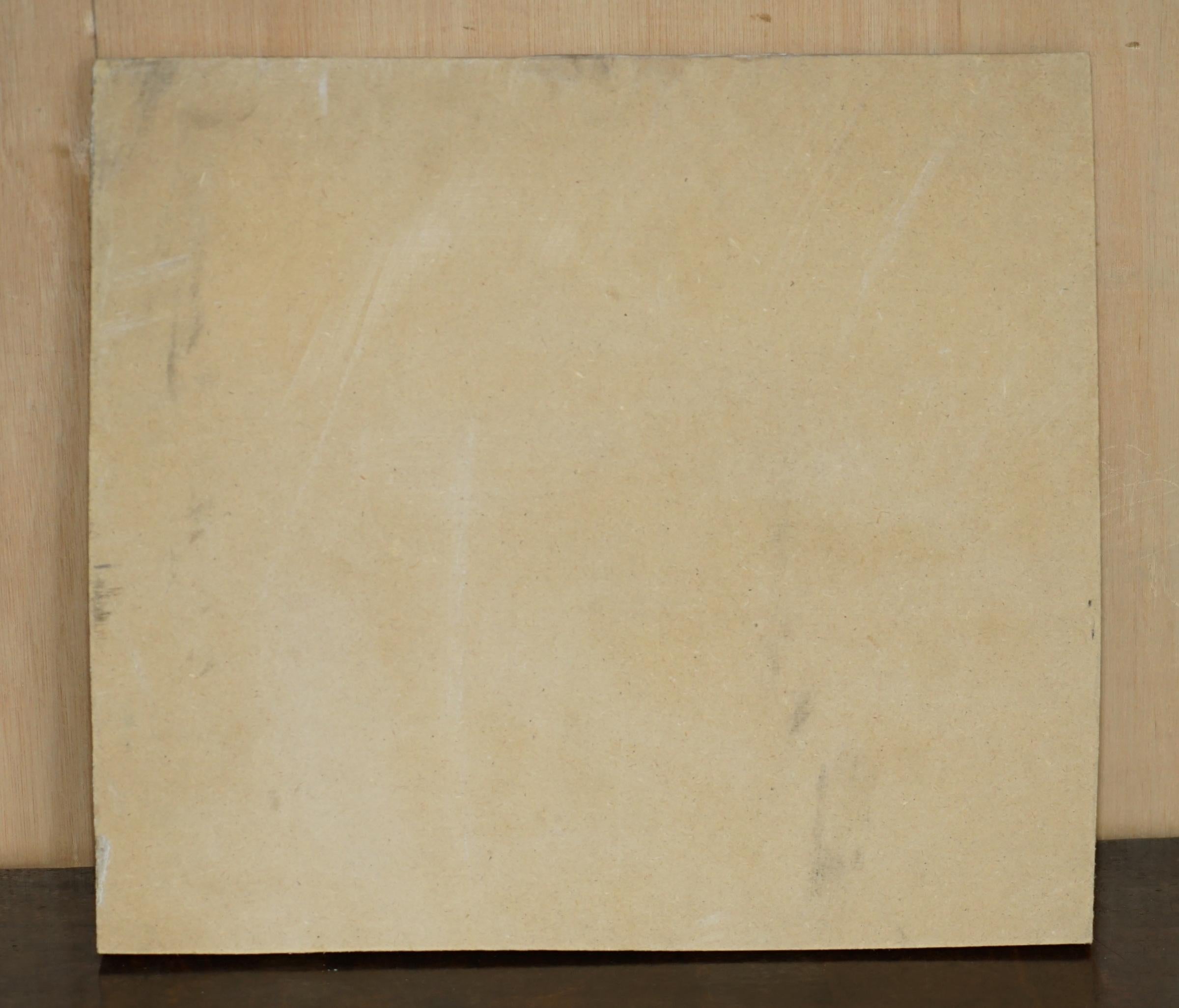 STUNNING 39-55 MILLION YEAR OLD GREEN RiVER FOSSILISED FISH PLAQUE DISPLAY en vente 2