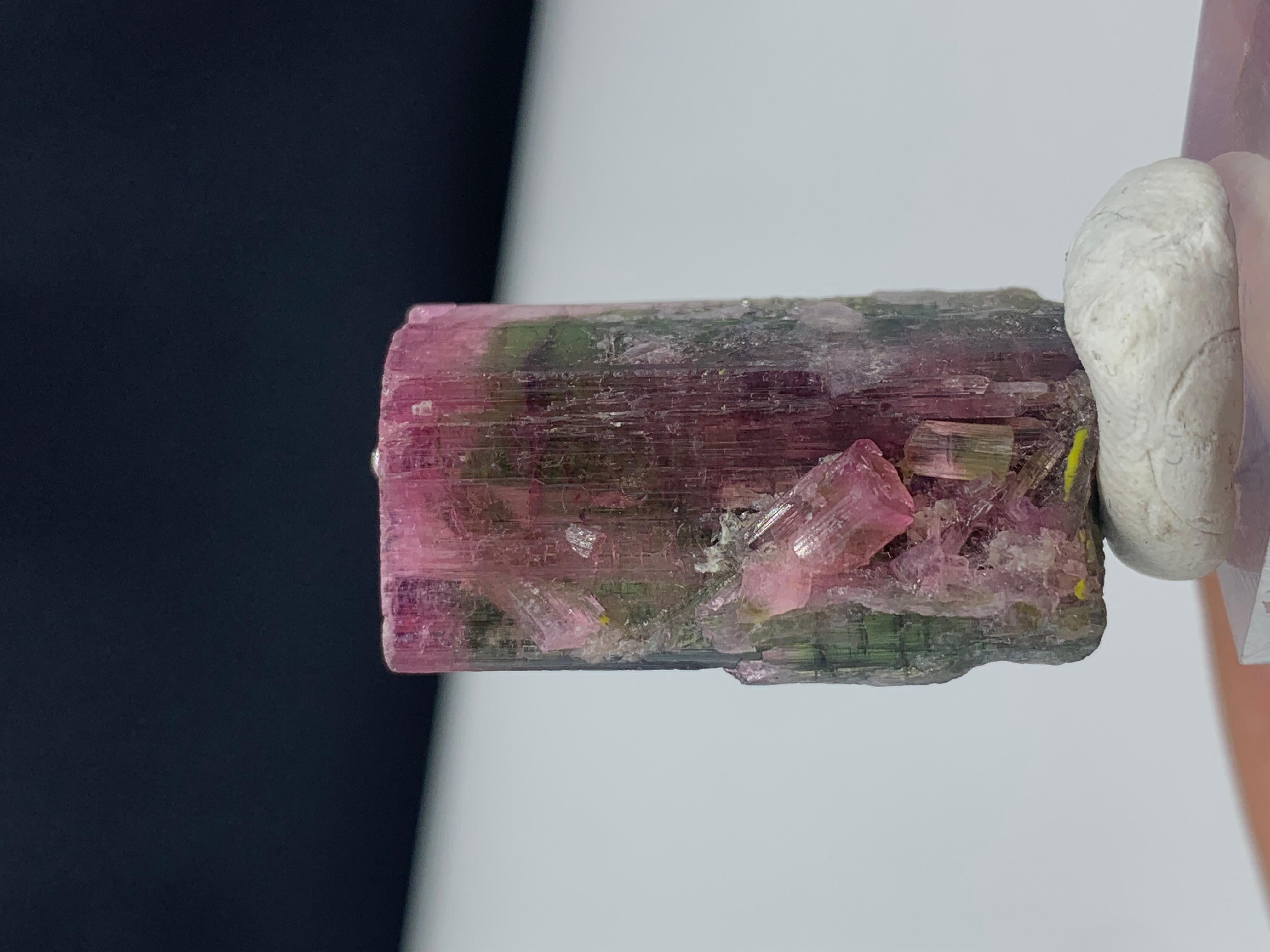 Stunning 45.85 Carat Bi Color Tourmaline from Paprook Mine, Afghanistan For Sale 4