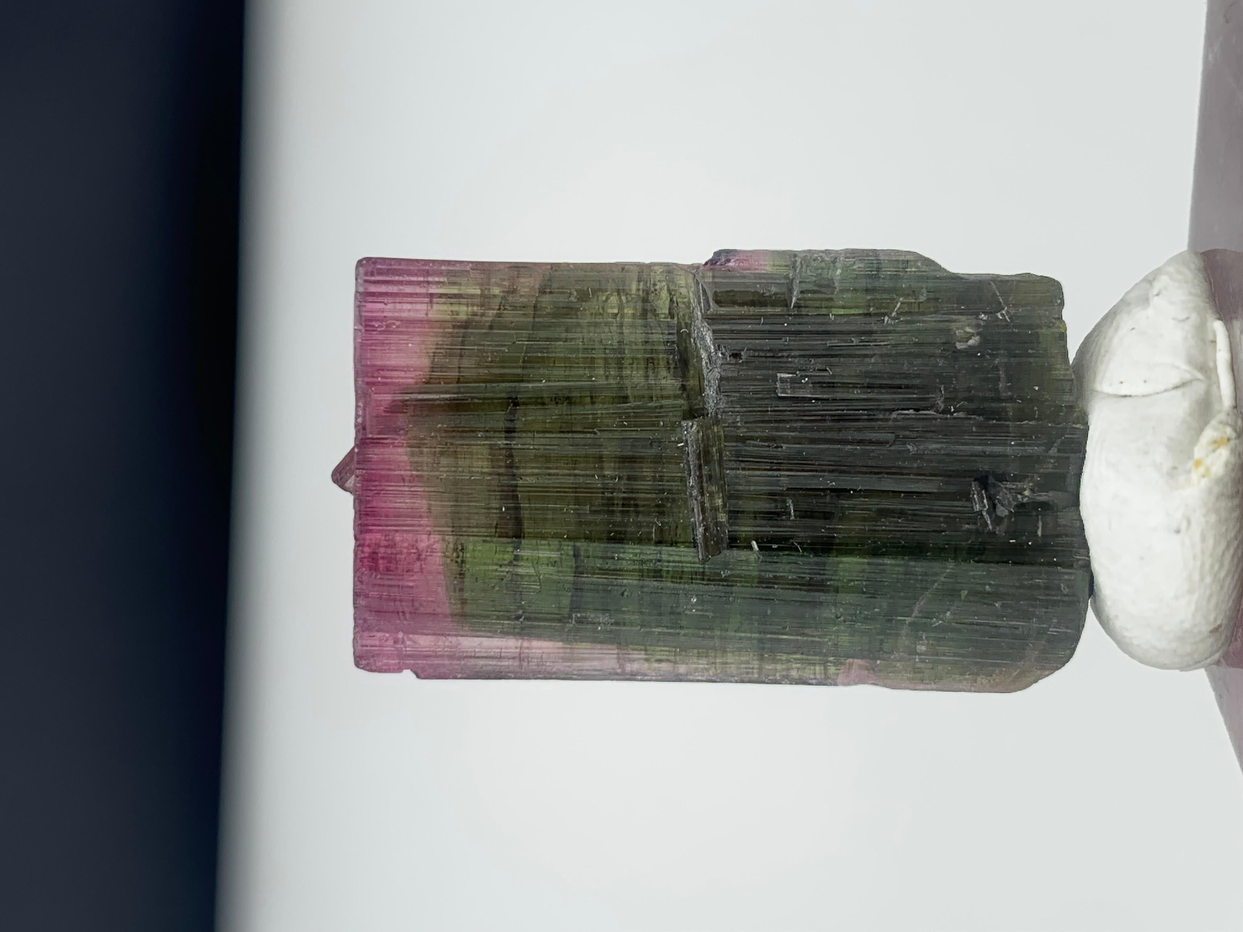 Stunning Bi-Color Tourmaline From Paprook Mine, Afghanistan
WEIGHT: 45.85 Carat
DIMENSIONS: 3.2 x 1.8 x 0.8 Cm
ORIGIN: Nooristan, Afghanistan
Color : Green and Pink 
TREATMENT: None

Tourmaline is an extremely popular gemstone; the name