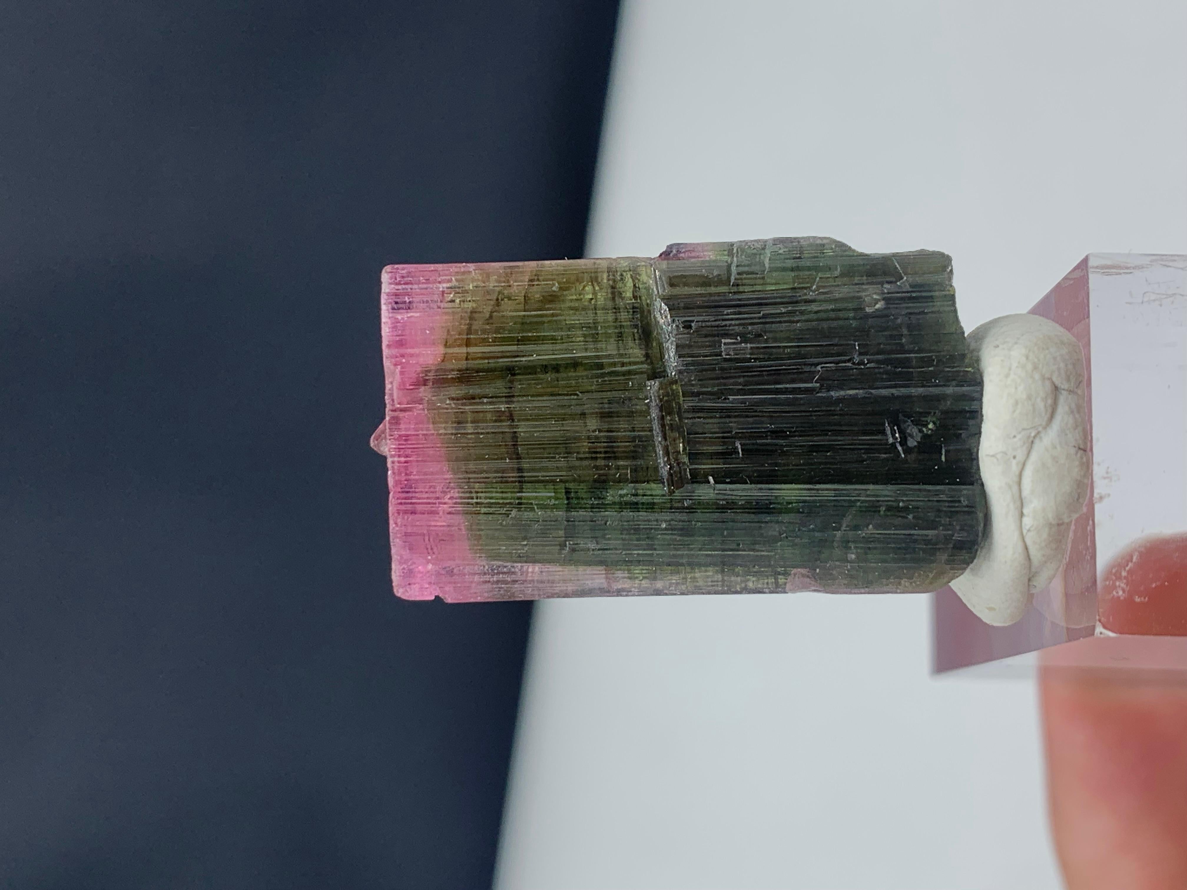 Adam Style Stunning 45.85 Carat Bi Color Tourmaline from Paprook Mine, Afghanistan For Sale