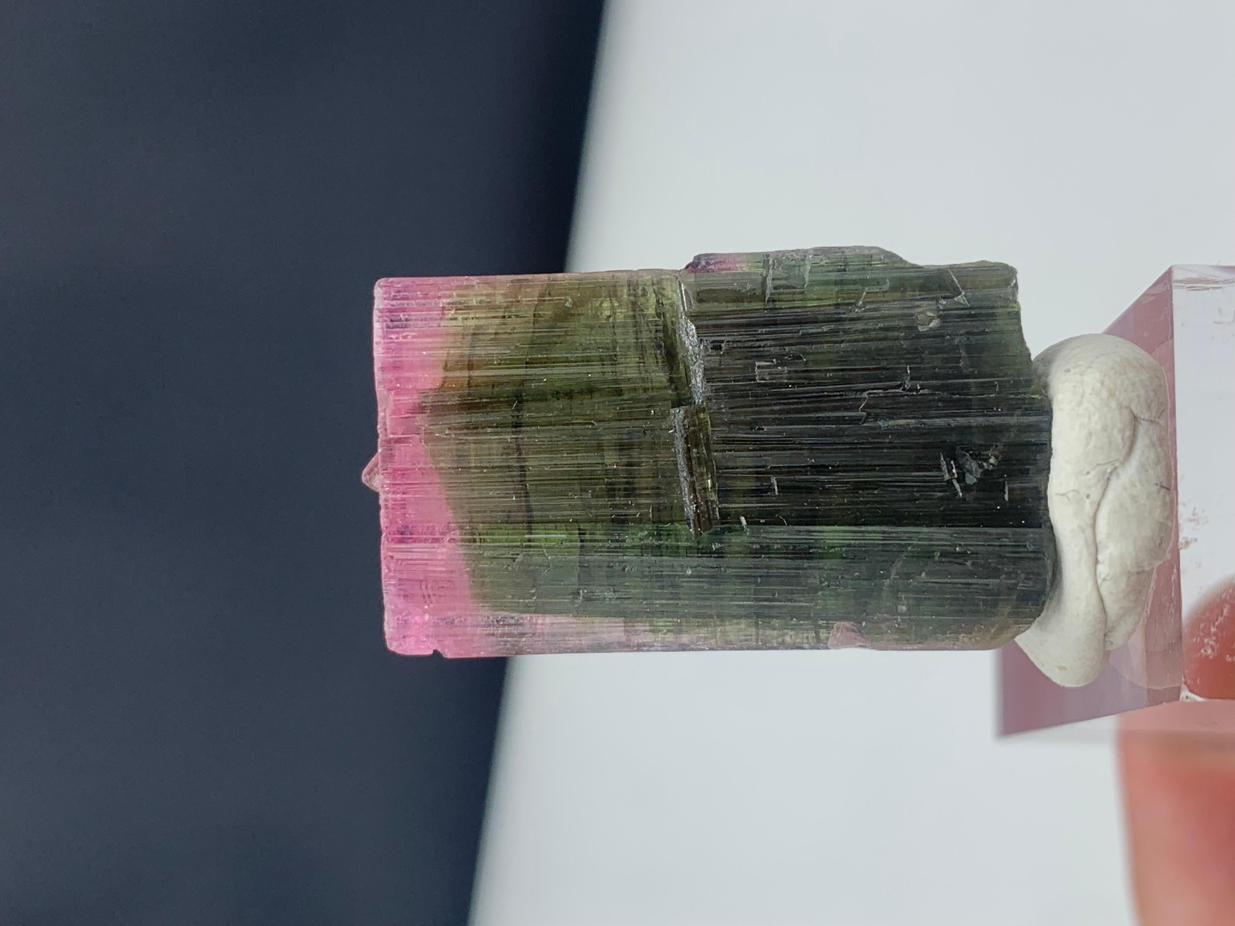 Other Stunning 45.85 Carat Bi Color Tourmaline from Paprook Mine, Afghanistan For Sale
