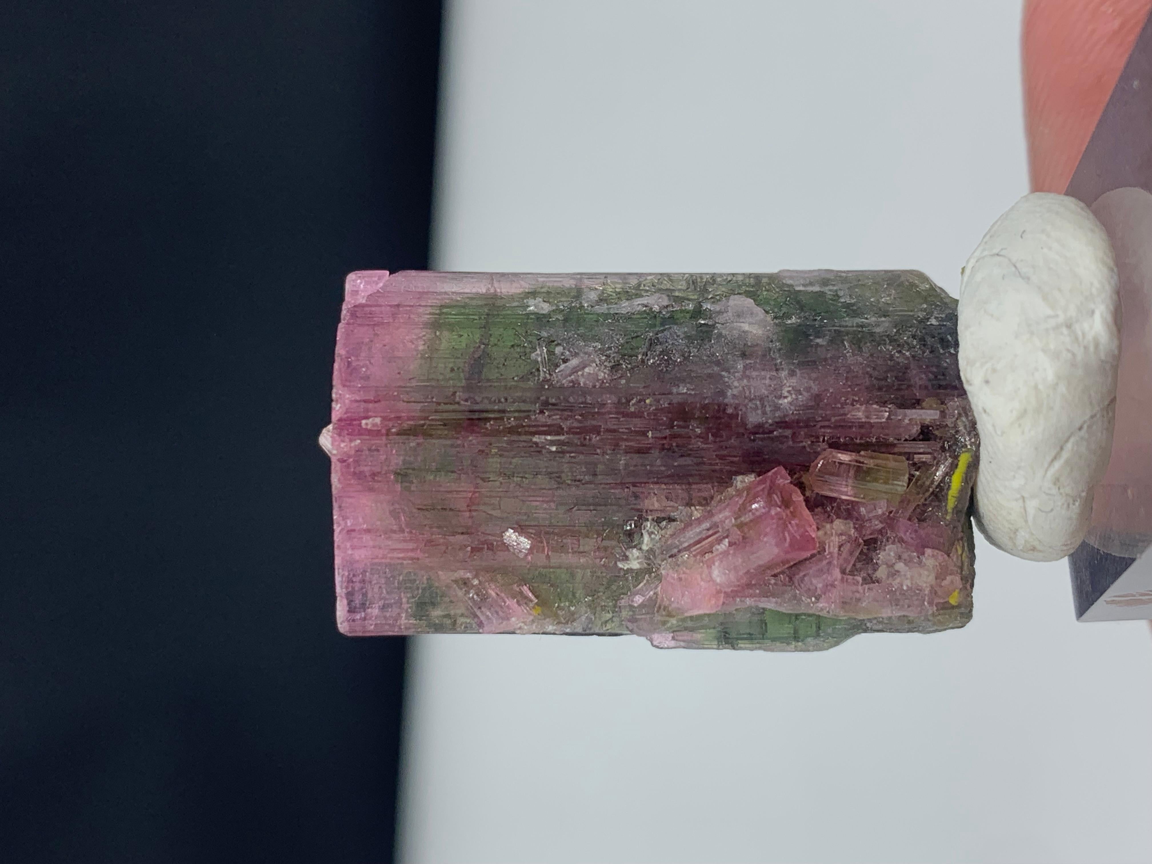 18th Century and Earlier Stunning 45.85 Carat Bi Color Tourmaline from Paprook Mine, Afghanistan For Sale