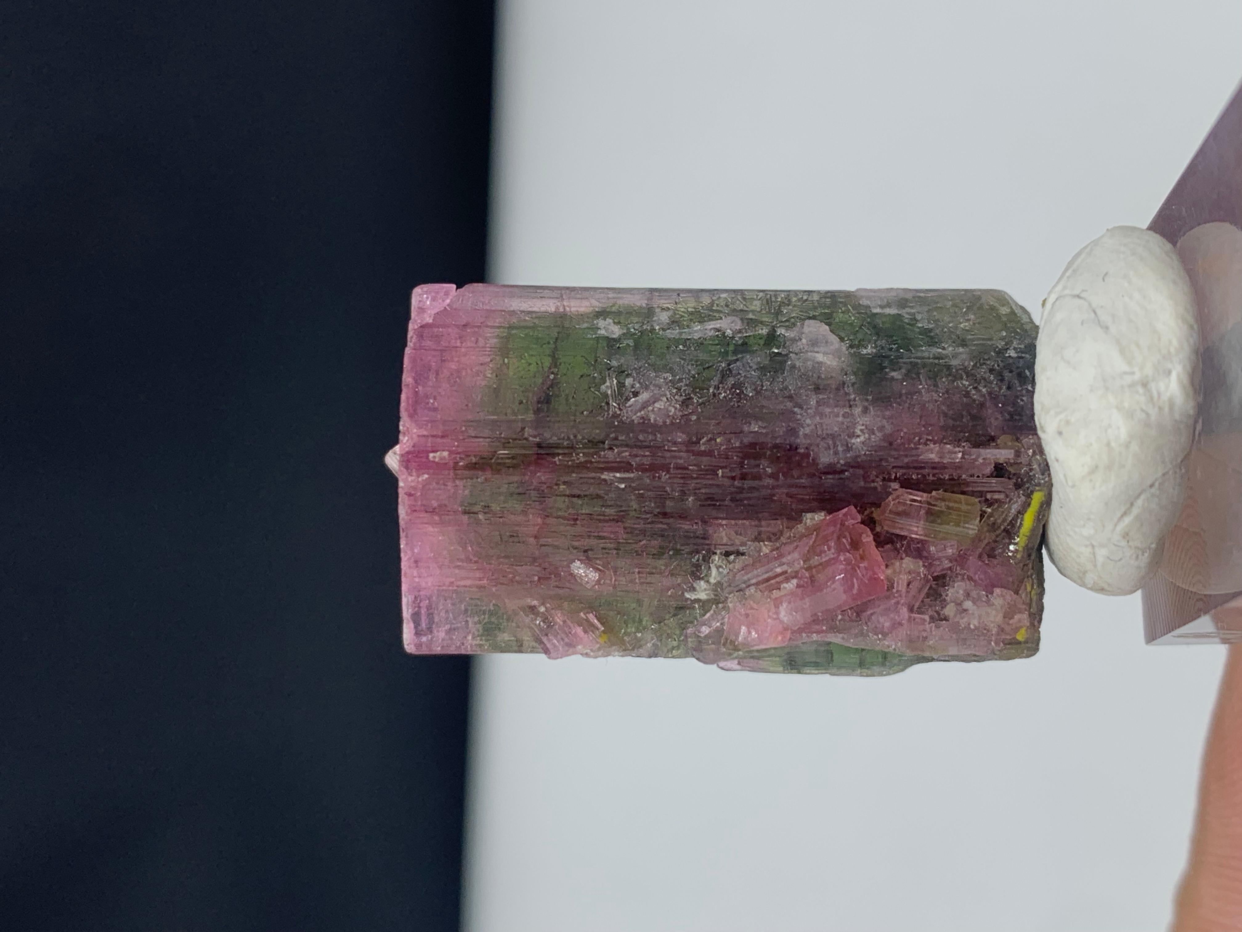 Rock Crystal Stunning 45.85 Carat Bi Color Tourmaline from Paprook Mine, Afghanistan For Sale
