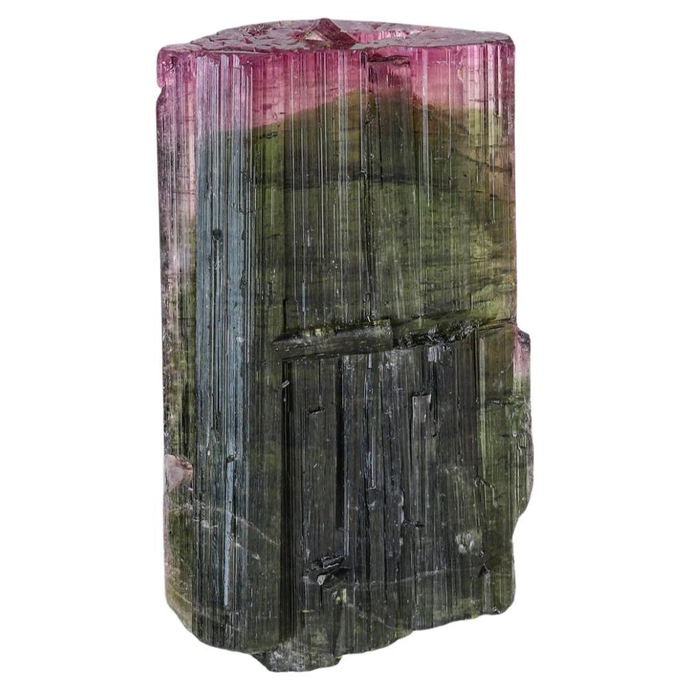 Stunning 45.85 Carat Bi Color Tourmaline from Paprook Mine, Afghanistan For Sale