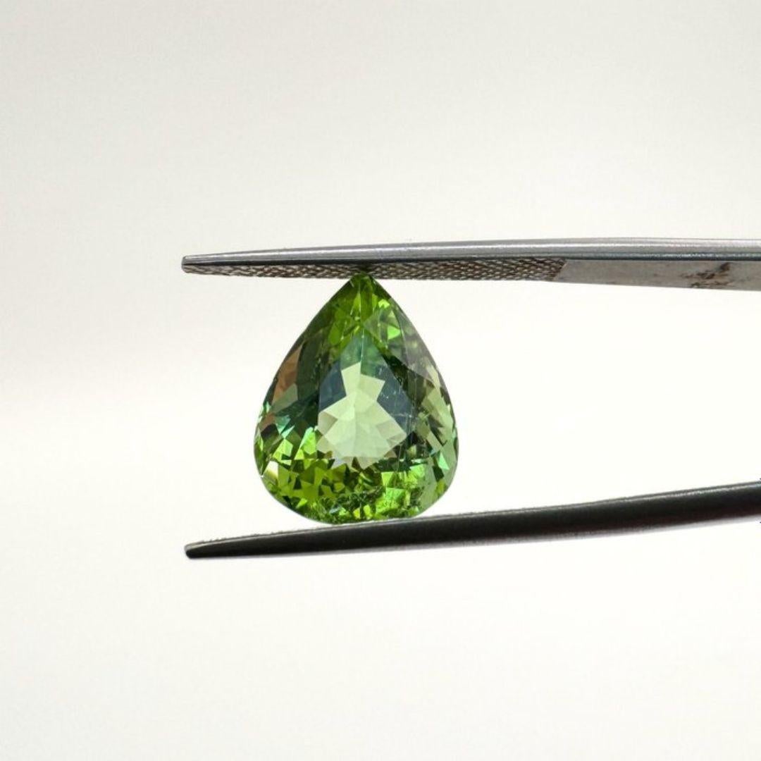 Stunning 5.38ct Tourmaline Gemstone - GIA Certified For Sale 1