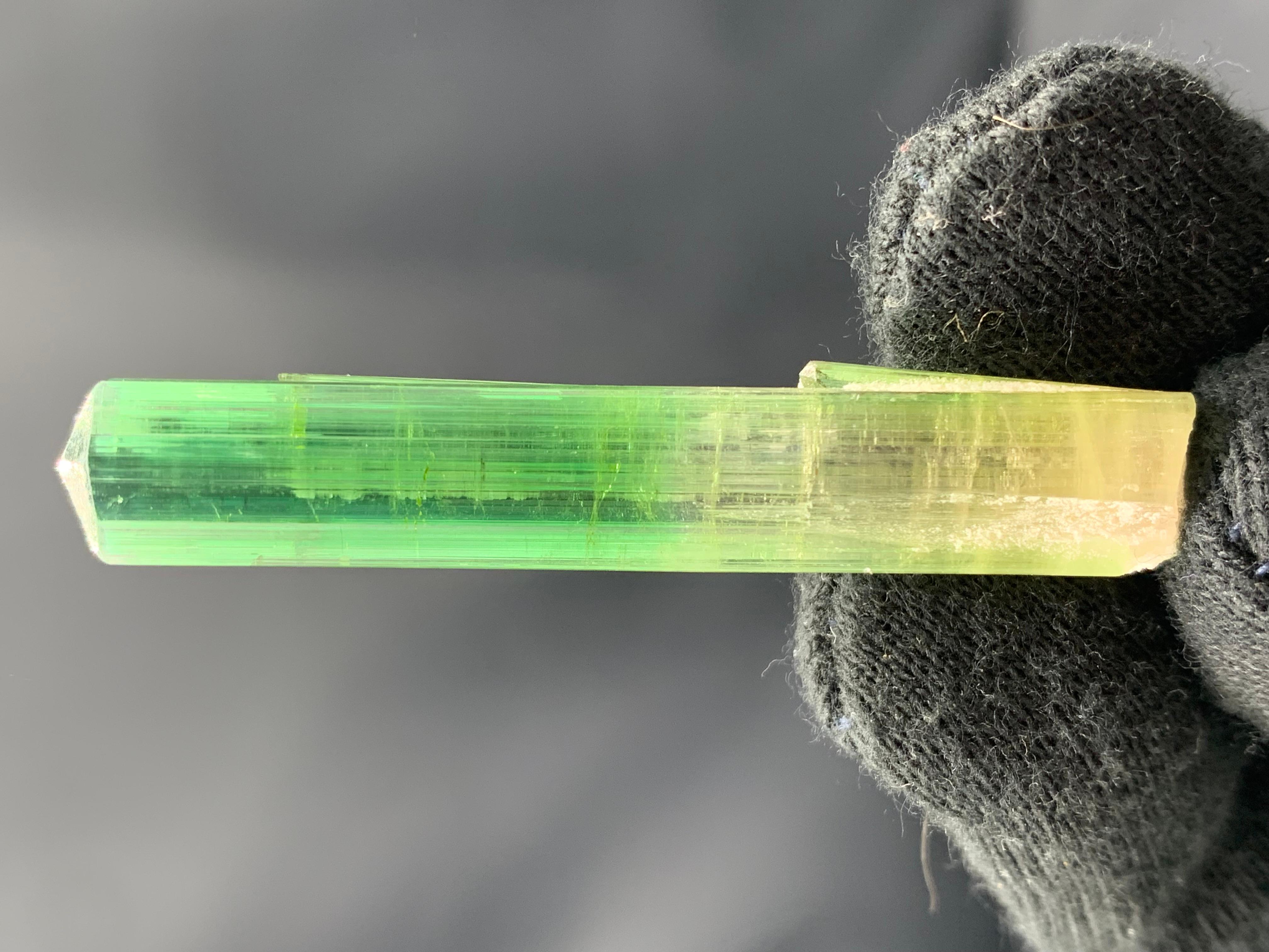 Atemberaubendes 9,56 Gramm Bi Farbe Turmalin Kristall aus der Paprook-Mine, Afghanistan im Angebot 4