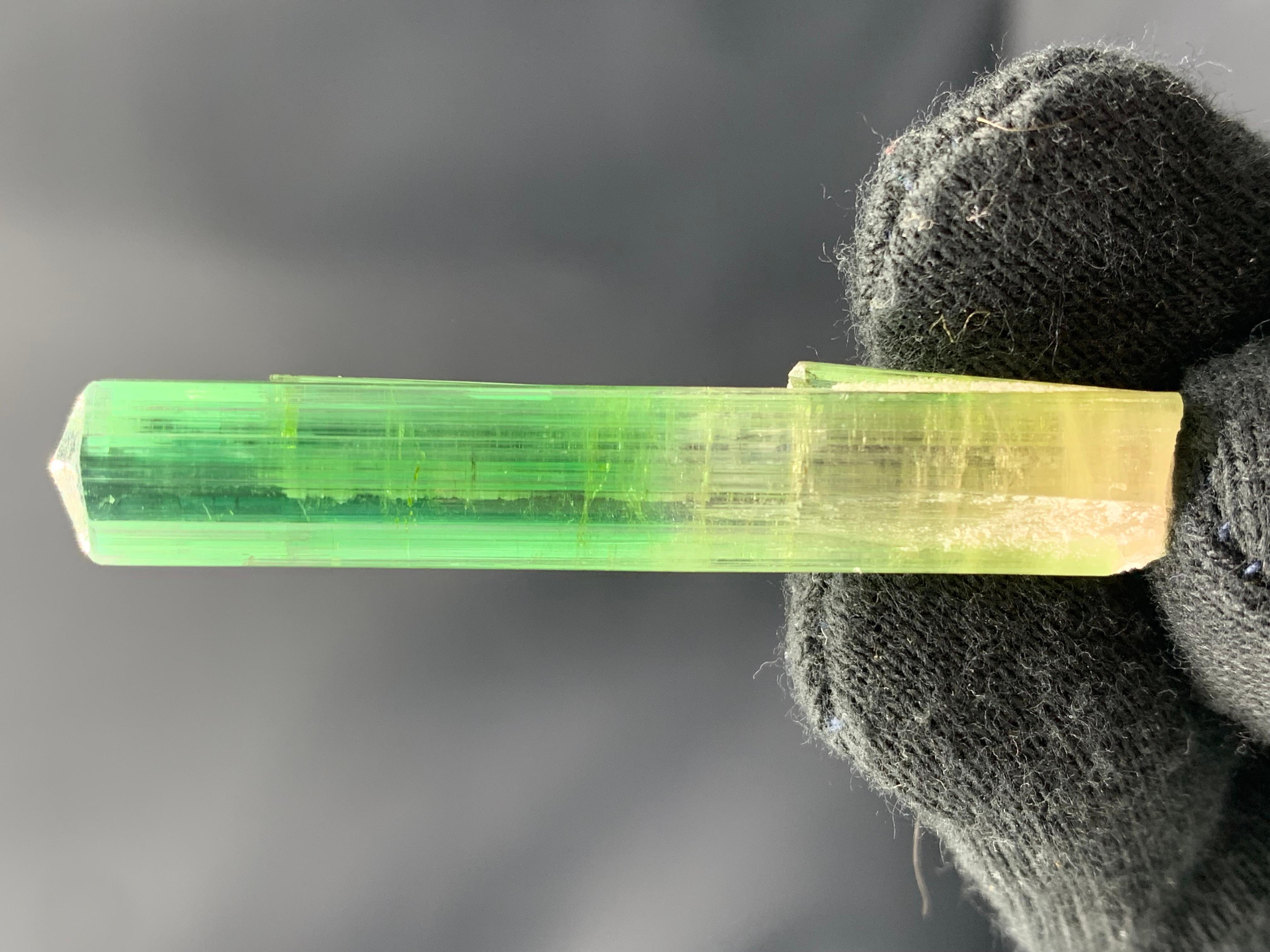 Atemberaubendes 9,56 Gramm Bi Farbe Turmalin Kristall aus der Paprook-Mine, Afghanistan im Angebot 5