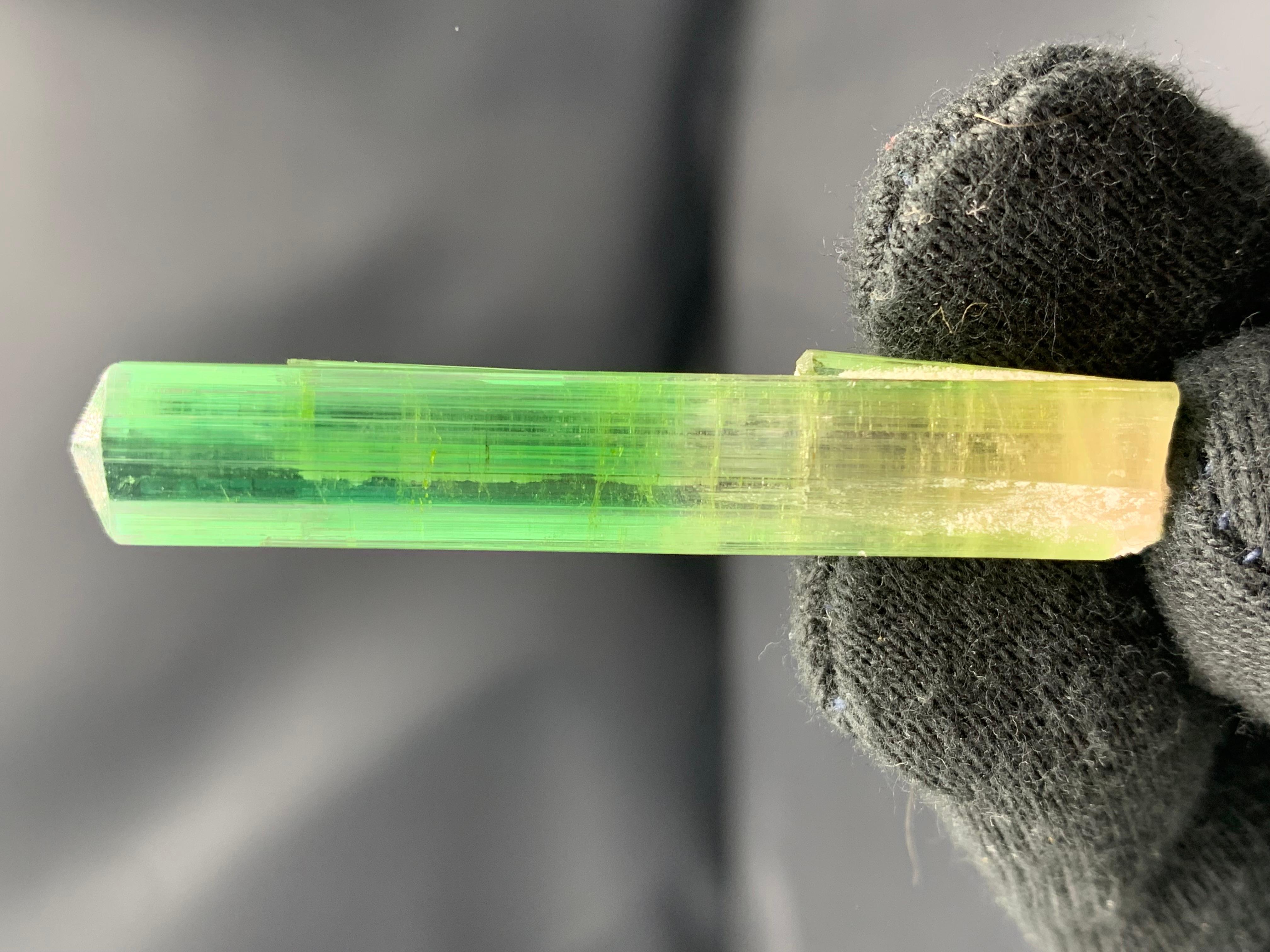 Atemberaubendes 9,56 Gramm Bi Farbe Turmalin Kristall aus der Paprook-Mine, Afghanistan im Angebot 6