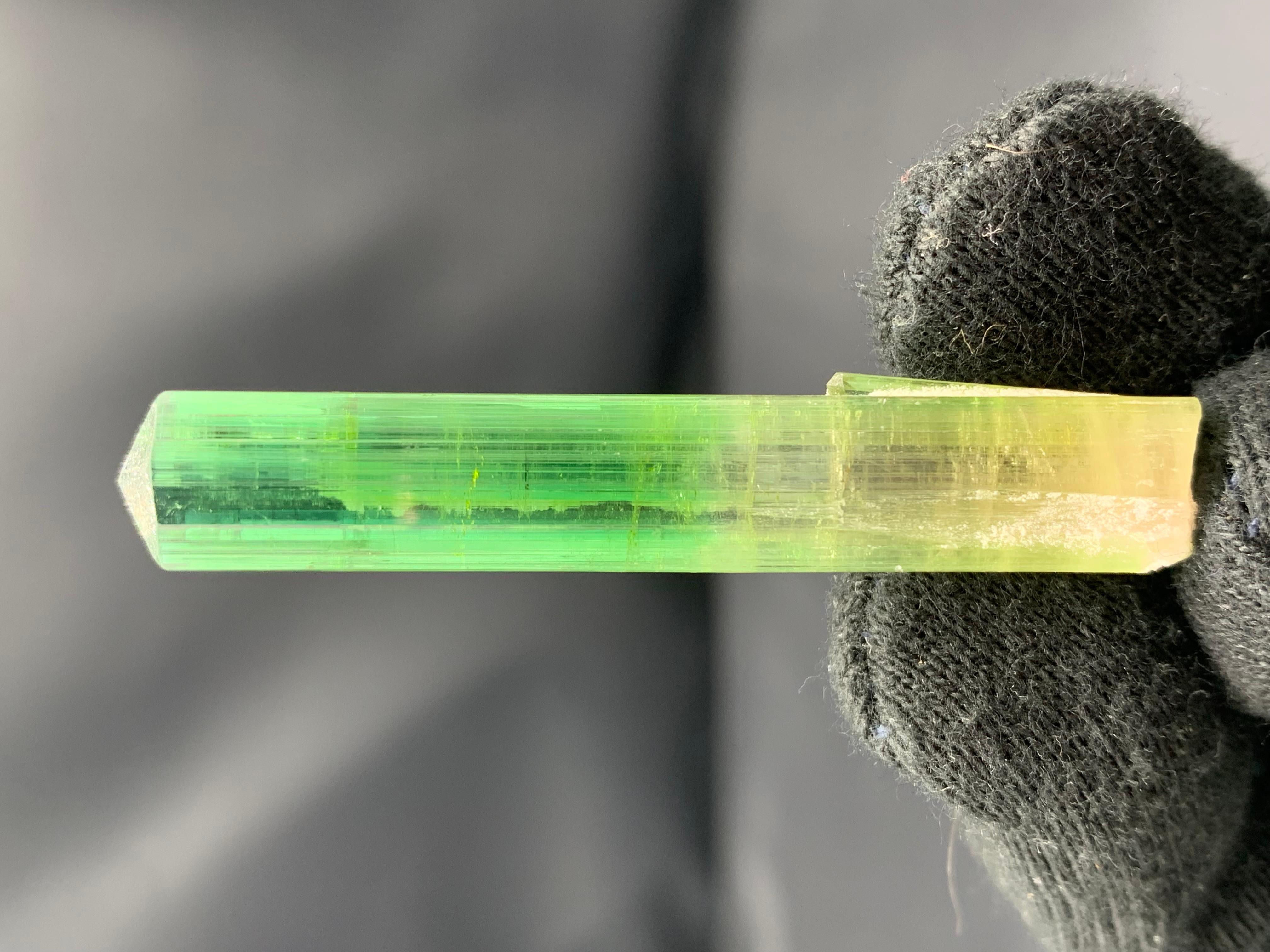 Atemberaubendes 9,56 Gramm Bi Farbe Turmalin Kristall aus der Paprook-Mine, Afghanistan im Angebot 7