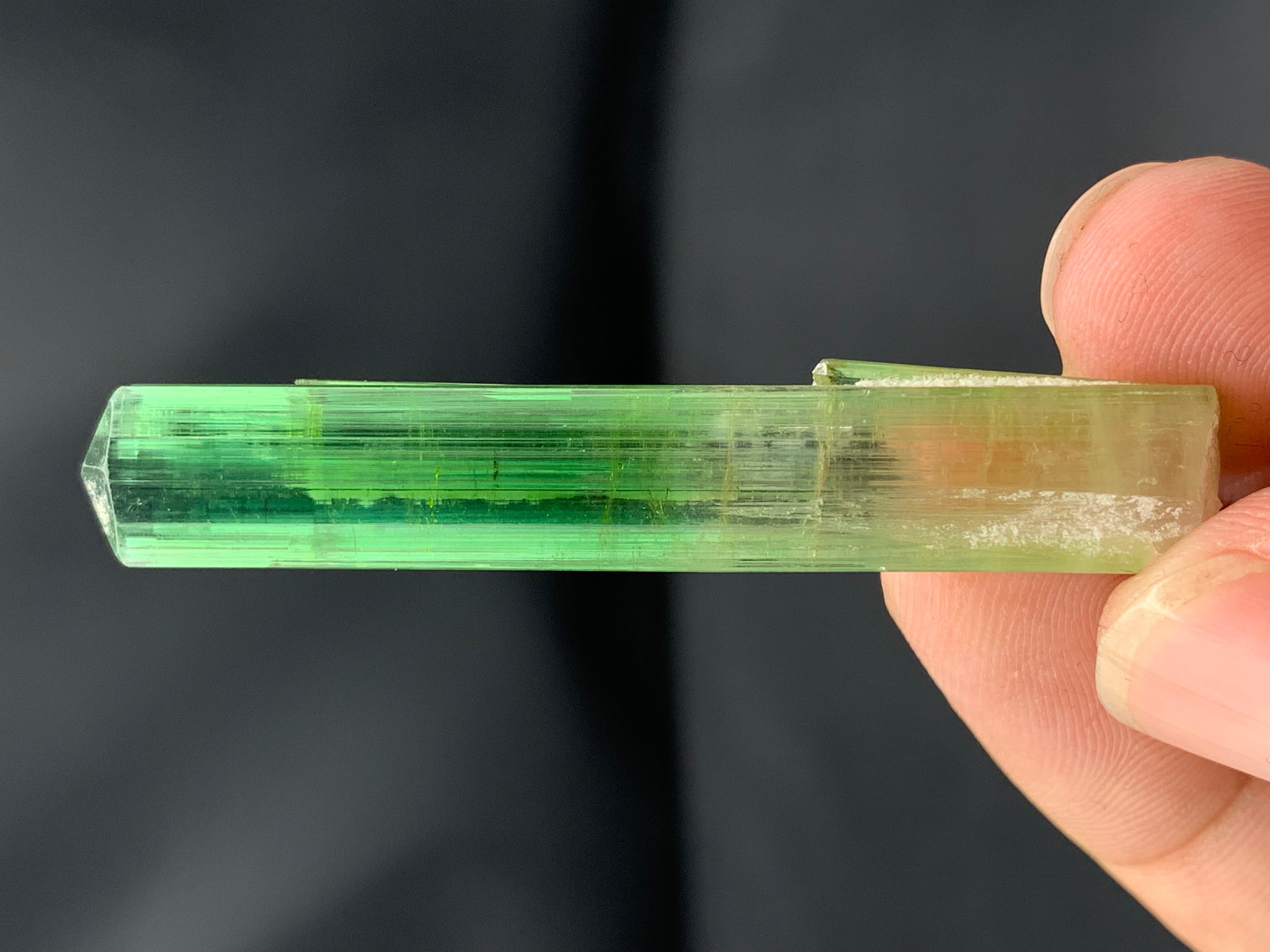 Atemberaubendes 9,56 Gramm Bi Farbe Turmalin Kristall aus der Paprook-Mine, Afghanistan im Angebot 8
