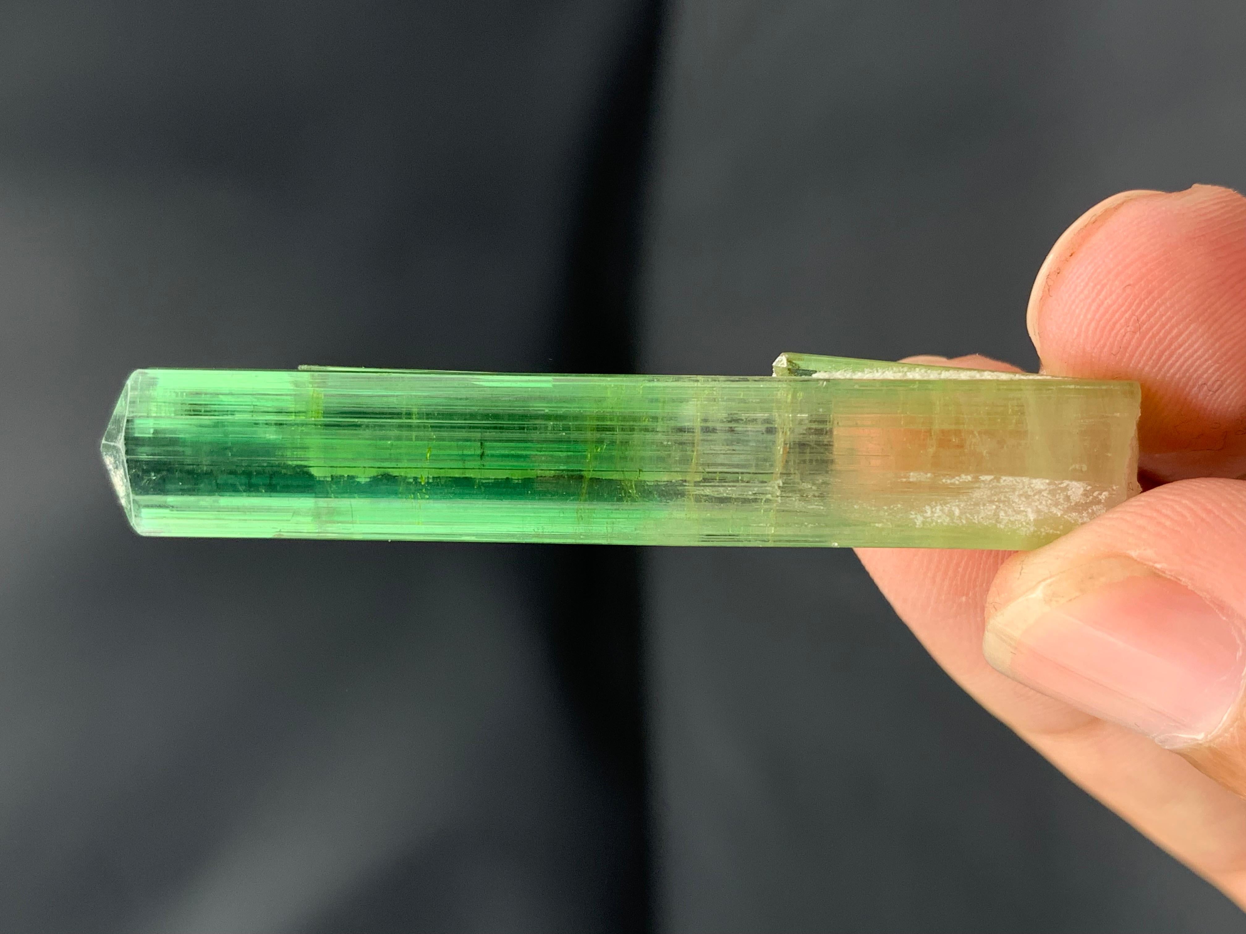 Atemberaubendes 9,56 Gramm Bi Farbe Turmalin Kristall aus der Paprook-Mine, Afghanistan im Angebot 9