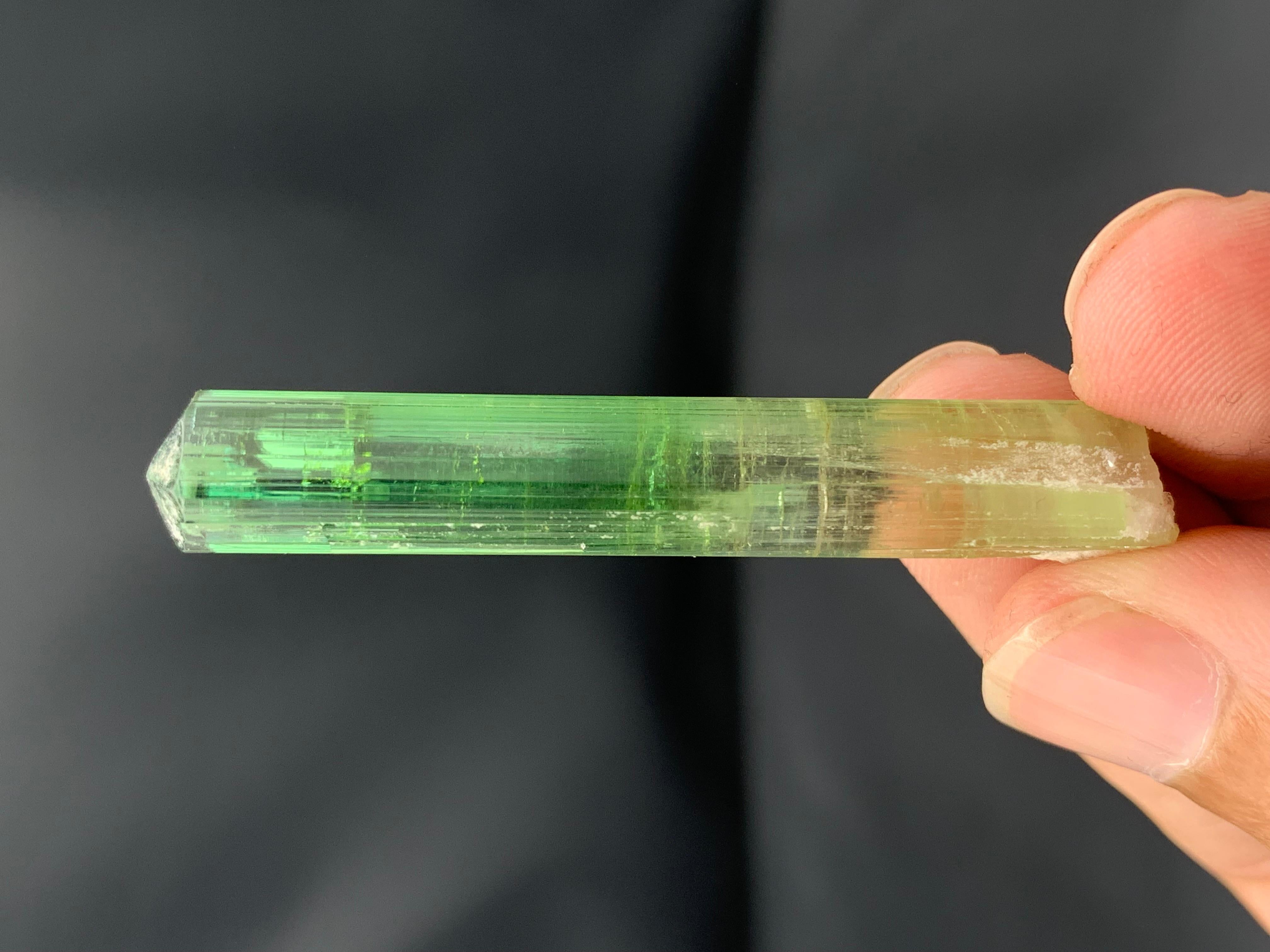 Atemberaubendes 9,56 Gramm Bi Farbe Turmalin Kristall aus der Paprook-Mine, Afghanistan im Angebot 10