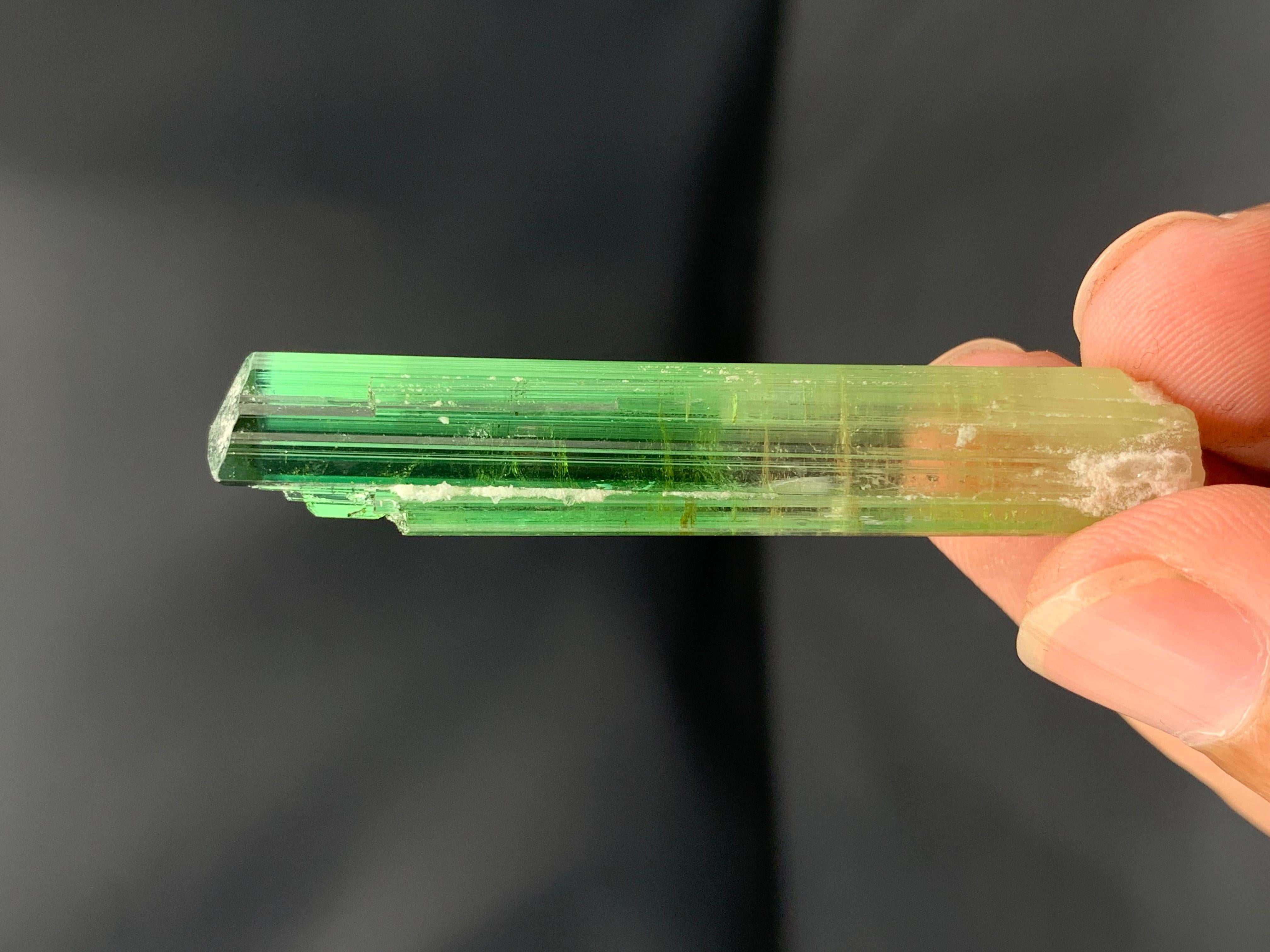 Atemberaubendes 9,56 Gramm Bi Farbe Turmalin Kristall aus der Paprook-Mine, Afghanistan im Angebot 11