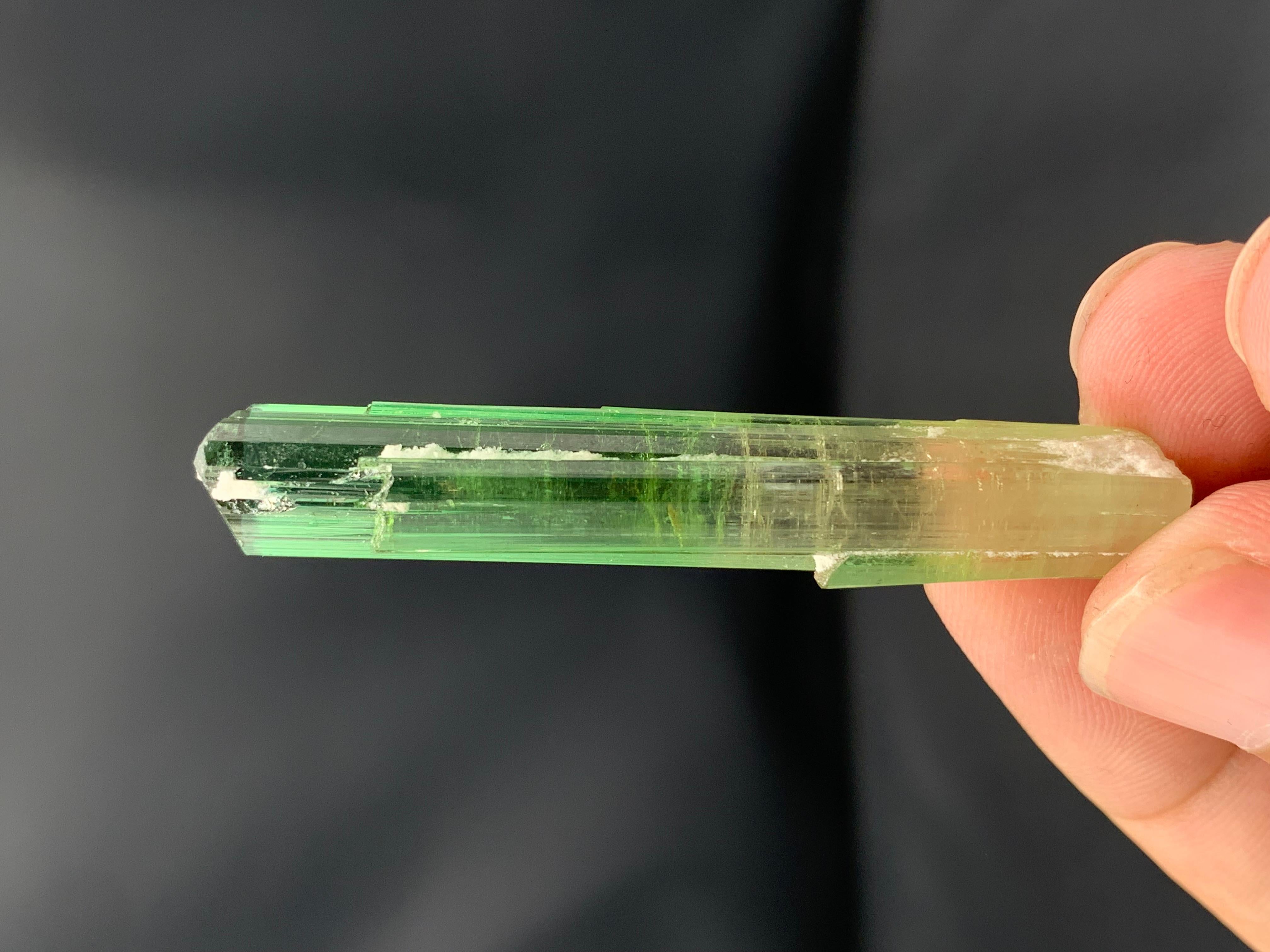 Atemberaubendes 9,56 Gramm Bi Farbe Turmalin Kristall aus der Paprook-Mine, Afghanistan im Angebot 12