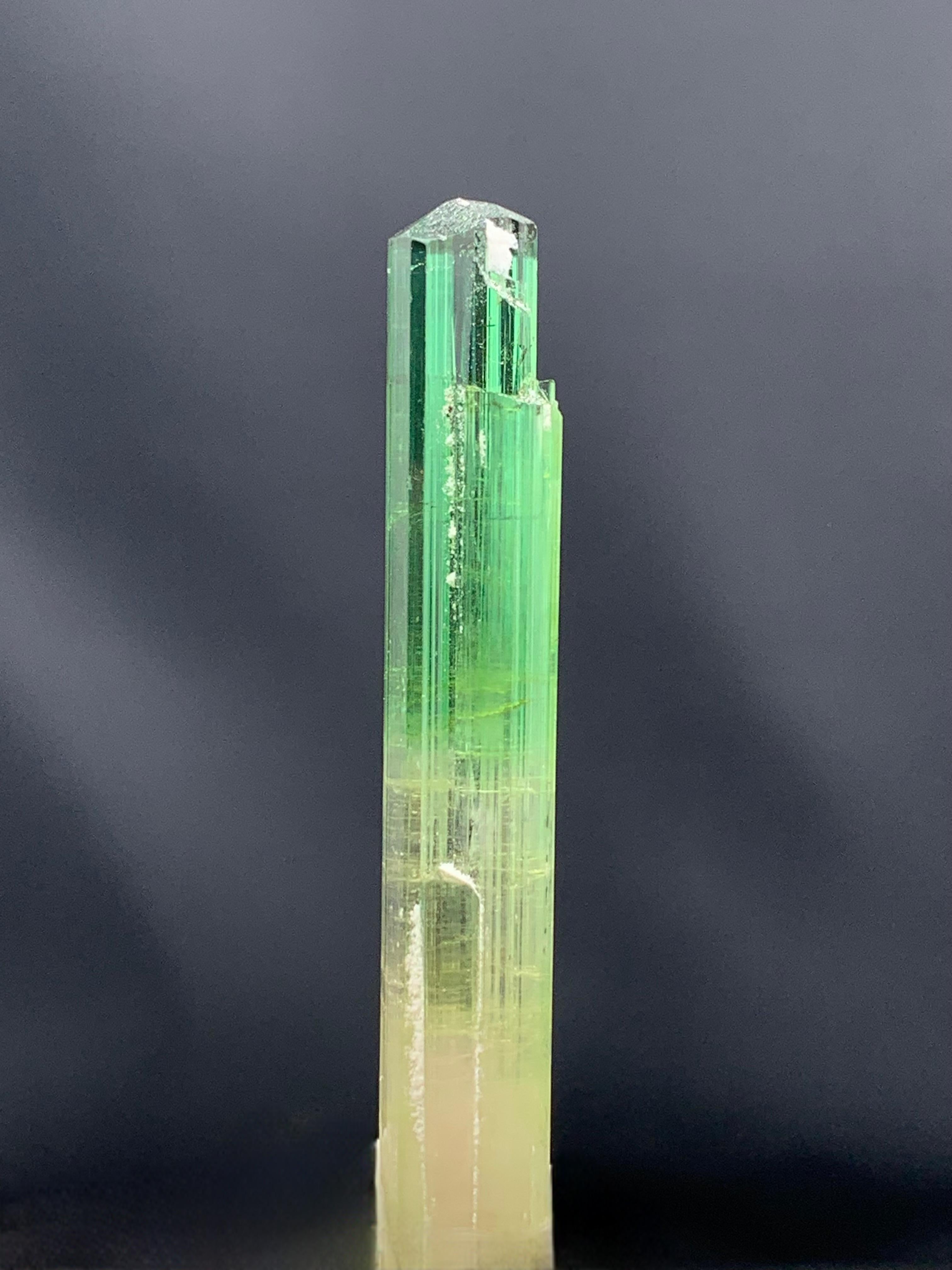BESCHREIBUNG:

Exemplar Typ: Atemberaubende Bi Farbe Turmalin Kristall 
Gewicht: 9,56 Gramm
Abmessungen: H: 5.6 x B: 0.9 x T: 0.9 Cm
Herkunft: Paprook-Mine, Provinz Nuristan, Afghanistan
Behandlung: Keine

BESCHREIBUNG:

Dieser exquisite zweifarbige