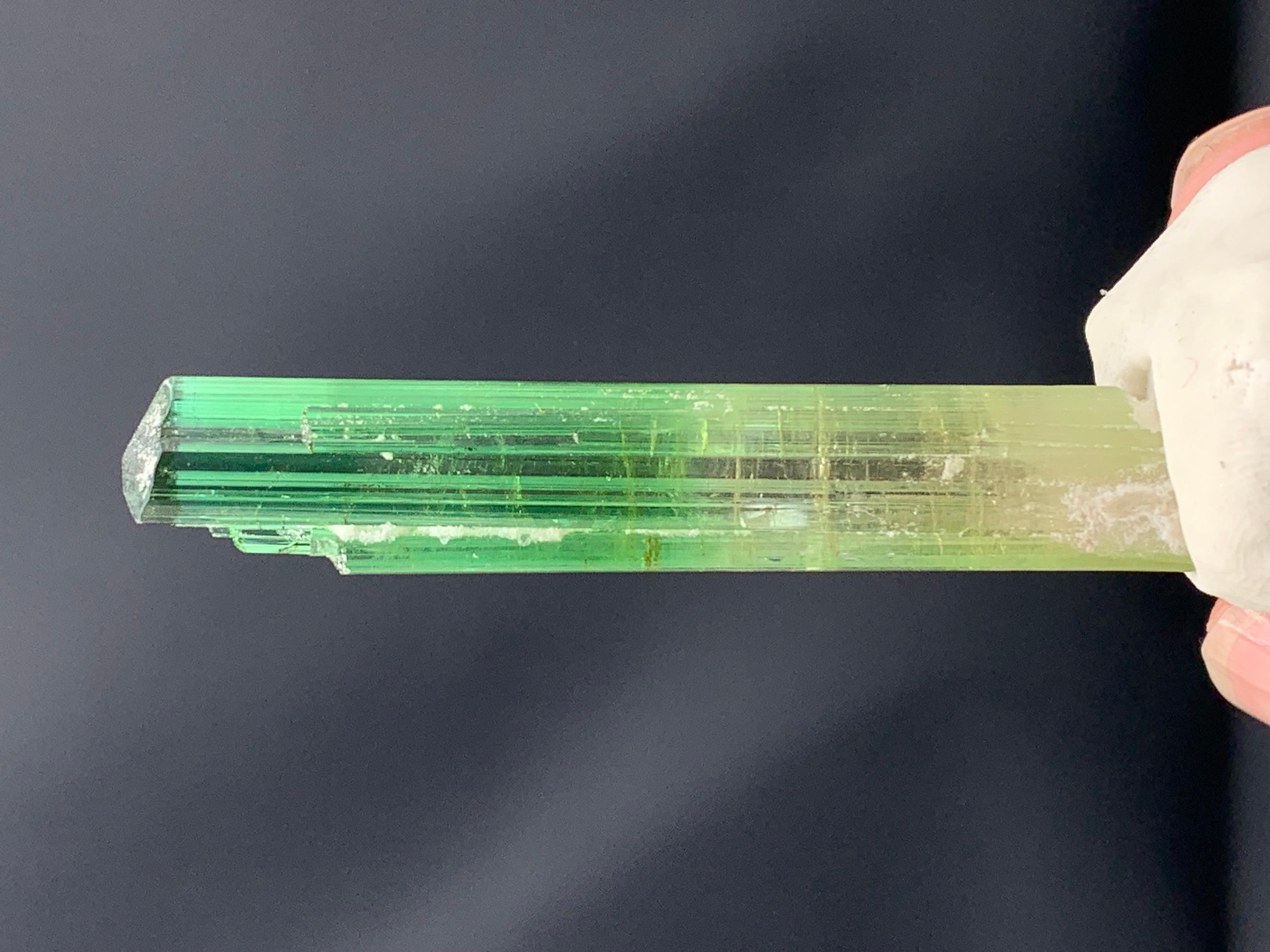 Atemberaubendes 9,56 Gramm Bi Farbe Turmalin Kristall aus der Paprook-Mine, Afghanistan (Adamstil) im Angebot