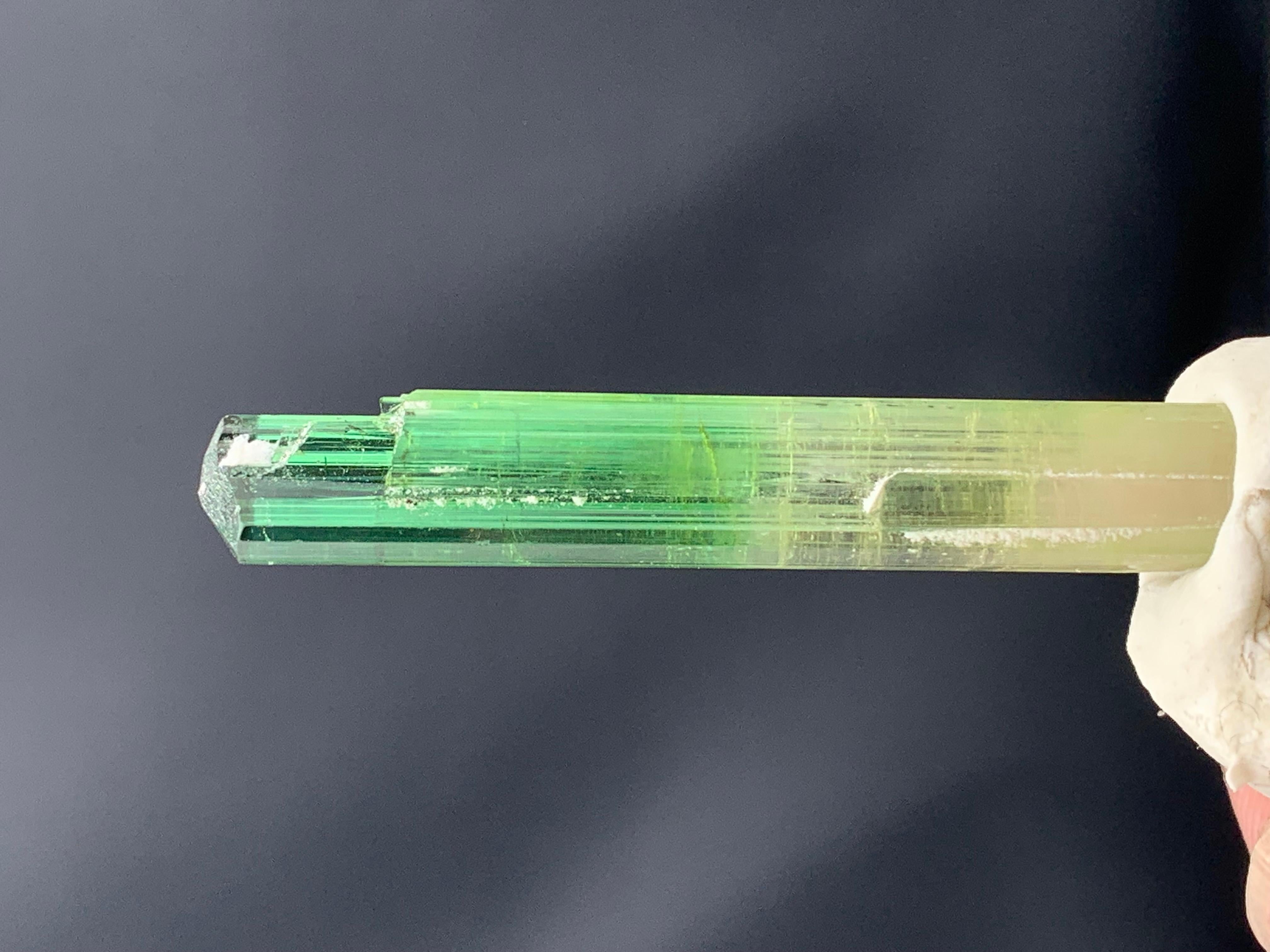 Atemberaubendes 9,56 Gramm Bi Farbe Turmalin Kristall aus der Paprook-Mine, Afghanistan (Afghanisch) im Angebot
