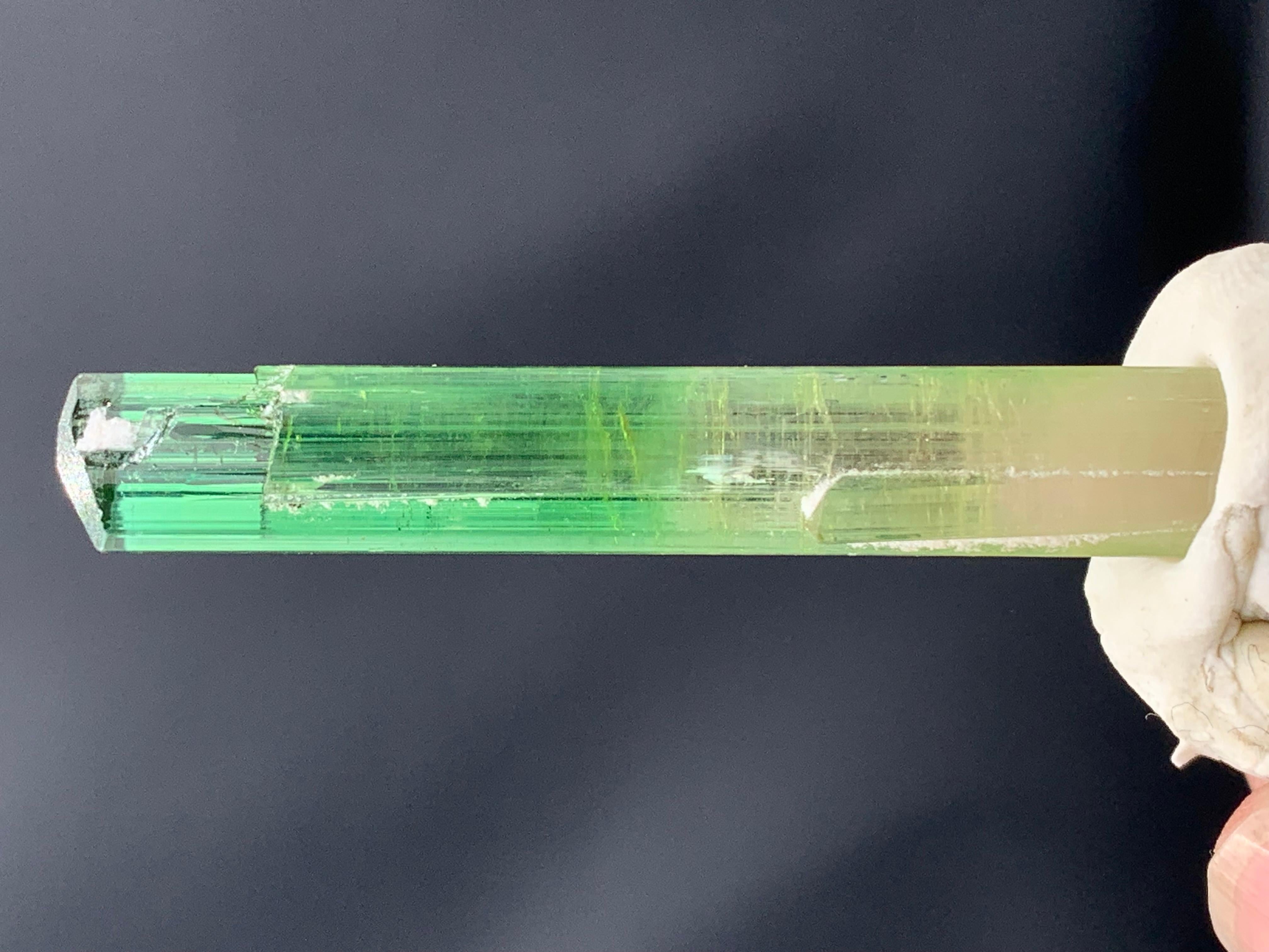 Atemberaubendes 9,56 Gramm Bi Farbe Turmalin Kristall aus der Paprook-Mine, Afghanistan im Zustand „Gut“ im Angebot in Peshawar, PK