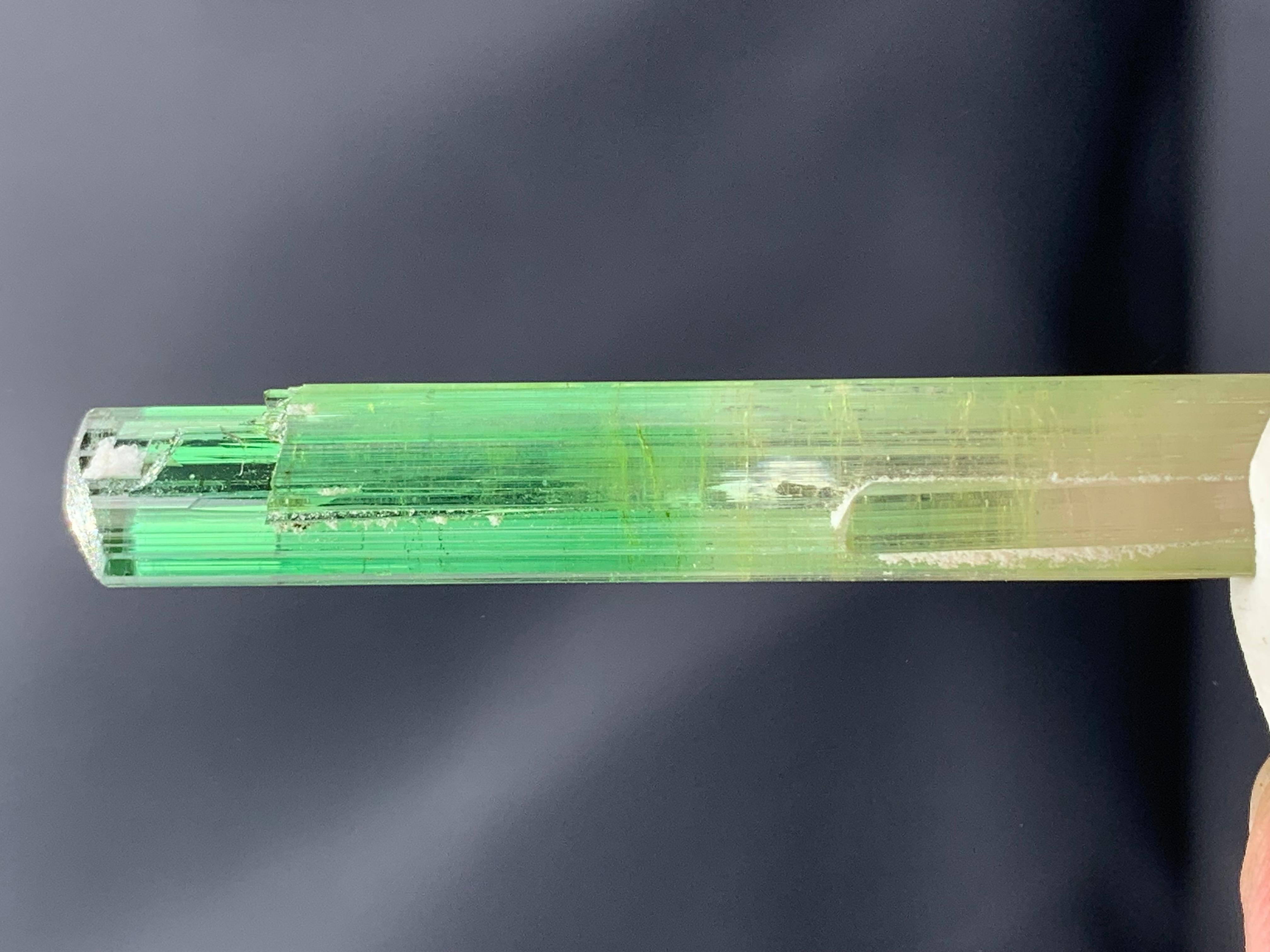 Atemberaubendes 9,56 Gramm Bi Farbe Turmalin Kristall aus der Paprook-Mine, Afghanistan (21. Jahrhundert und zeitgenössisch) im Angebot