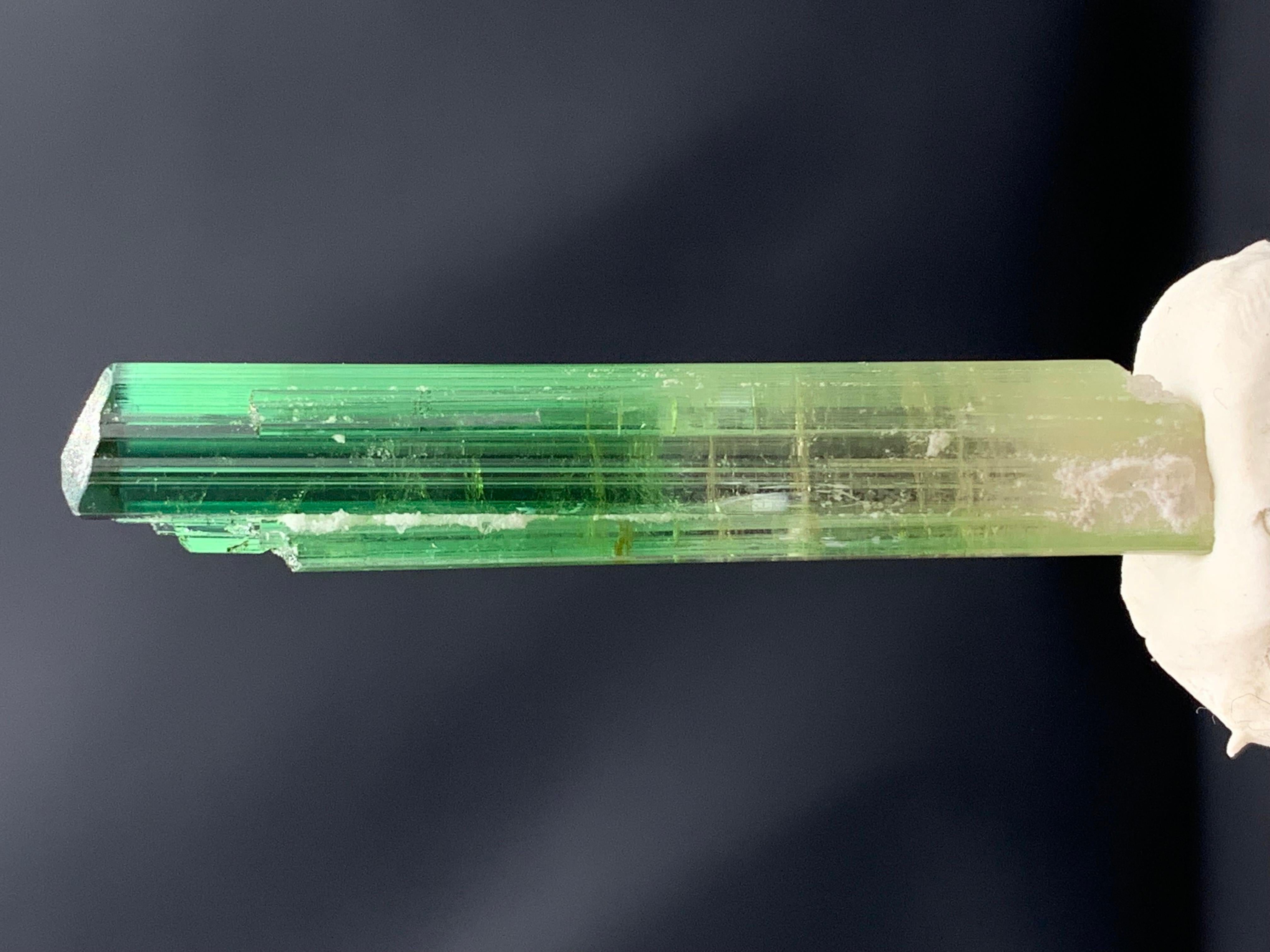 Atemberaubendes 9,56 Gramm Bi Farbe Turmalin Kristall aus der Paprook-Mine, Afghanistan im Angebot 1