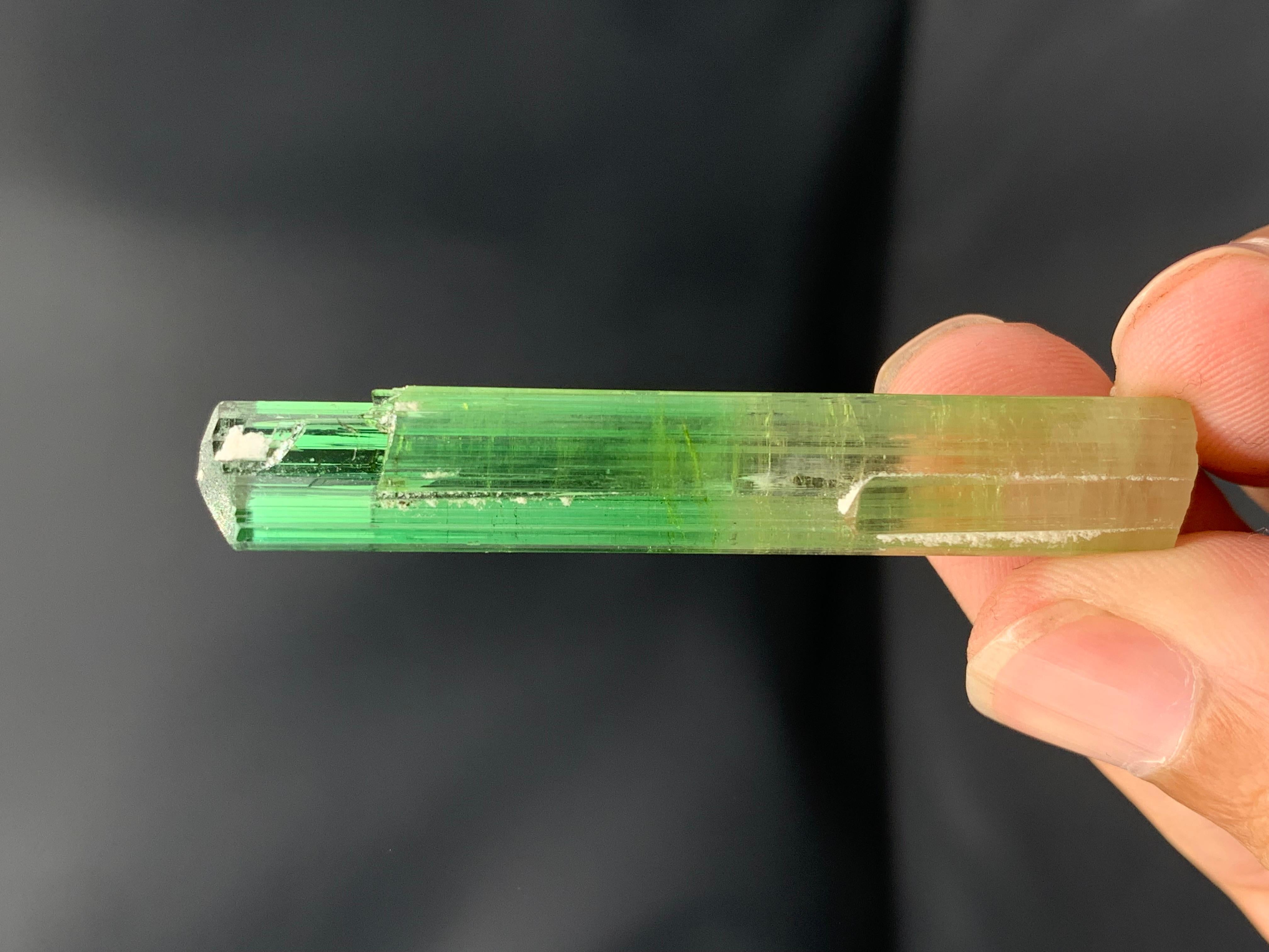 Atemberaubendes 9,56 Gramm Bi Farbe Turmalin Kristall aus der Paprook-Mine, Afghanistan im Angebot 2