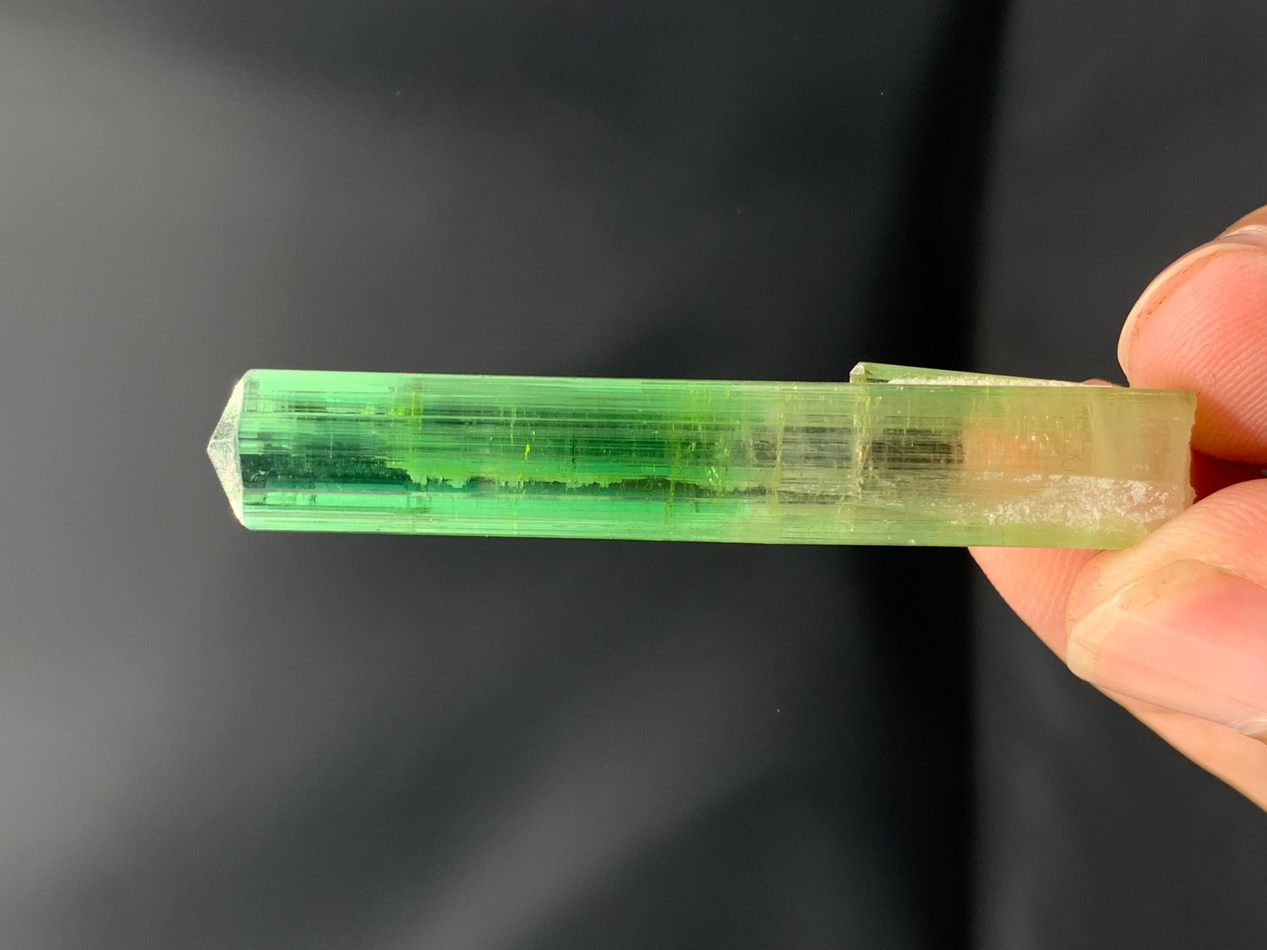 Atemberaubendes 9,56 Gramm Bi Farbe Turmalin Kristall aus der Paprook-Mine, Afghanistan im Angebot 3
