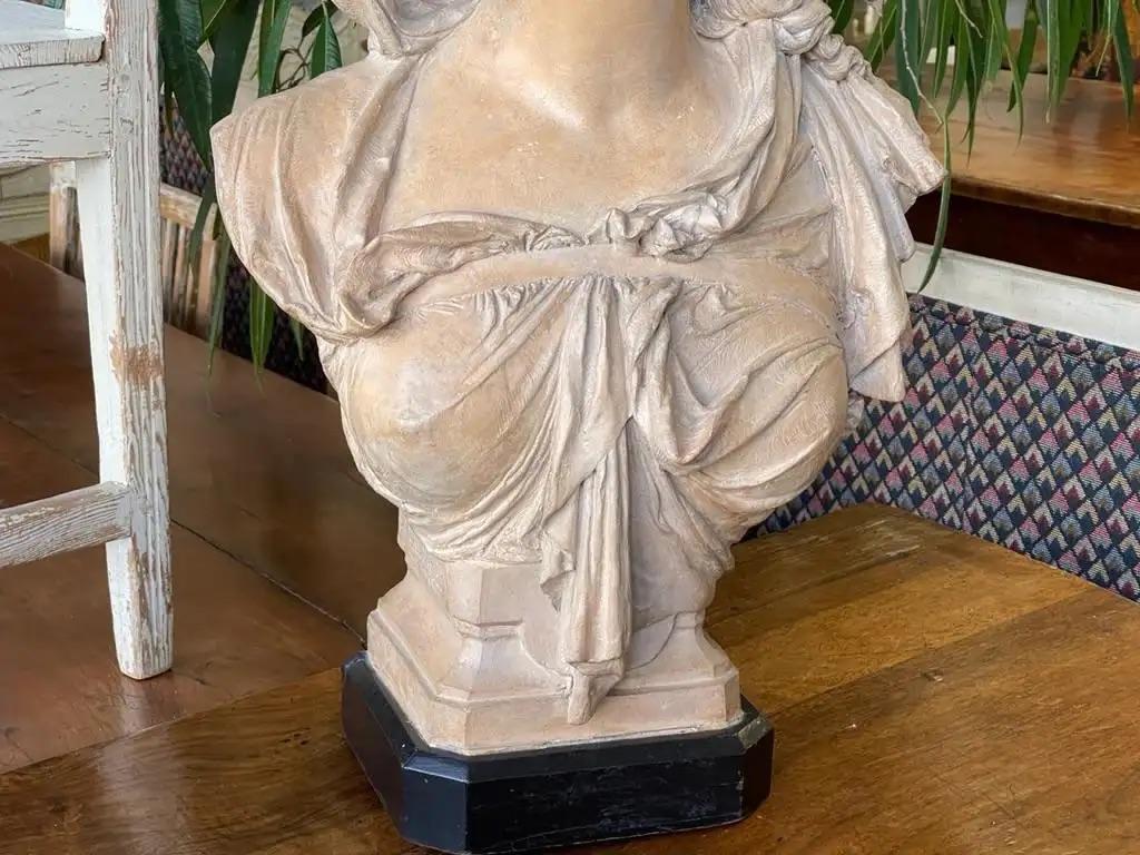 European Stunning Albert-Ernest Carrier-Belleuse Bust of a Woman, Terracotta Sculpture For Sale