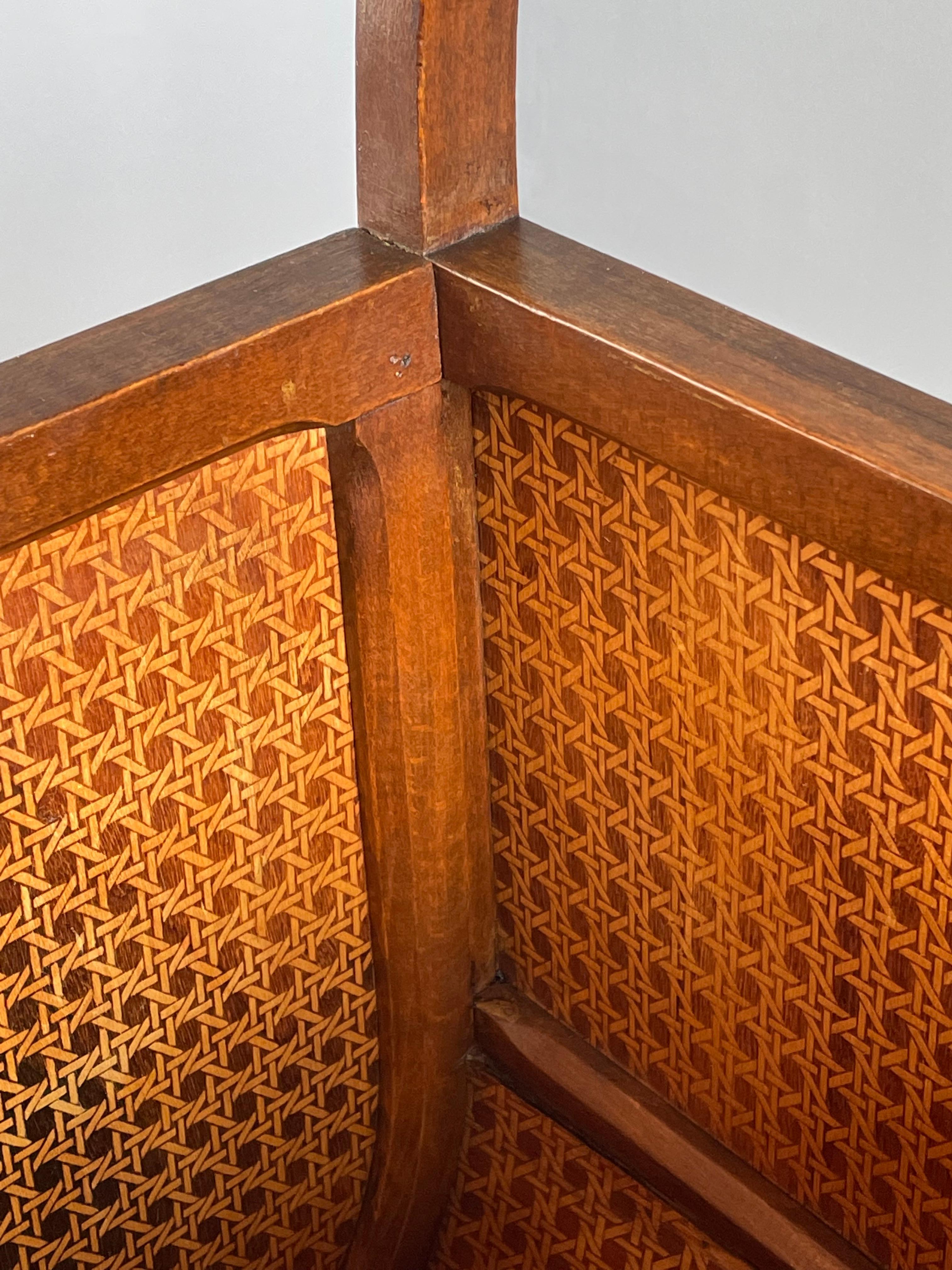 Stunning and Rare Design, Early 20th Century Bentwood Modernist Magazine Stand For Sale 3