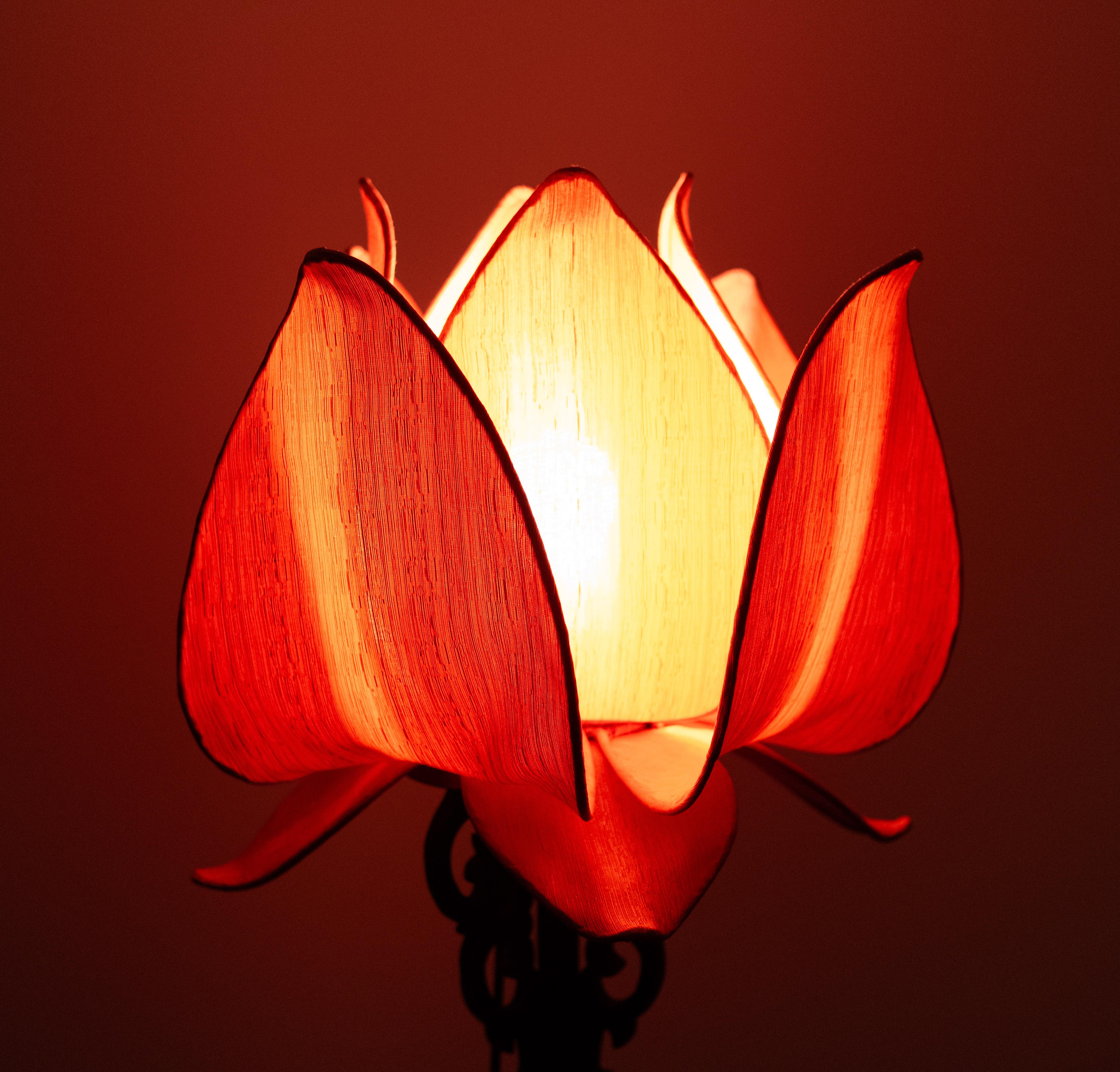 Stunning Antique Chinese lantern early 20century 3