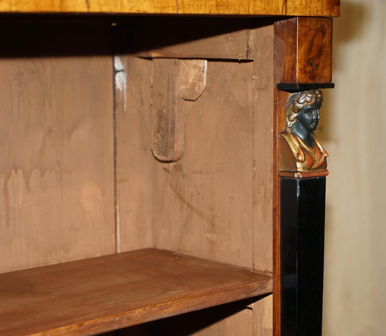 Stunning Antique Egyptian Revival Walnut Biedermeier Style Open Library