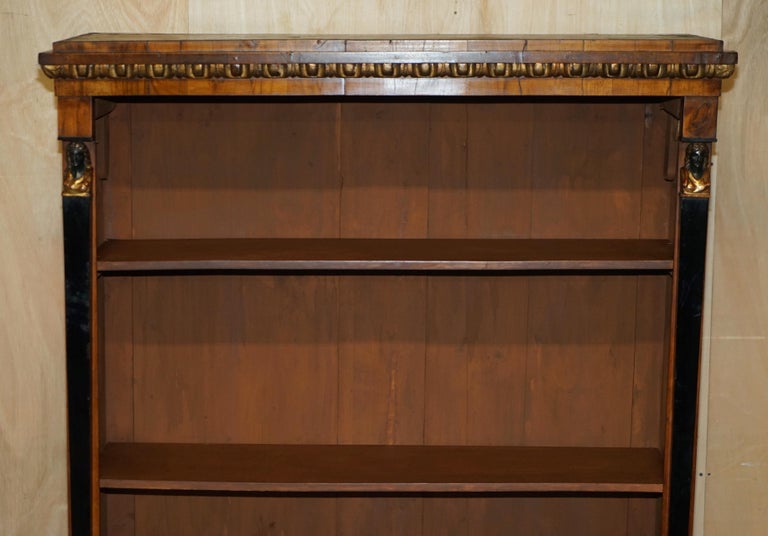 Stunning Antique Egyptian Revival Walnut Biedermeier Style Open Library