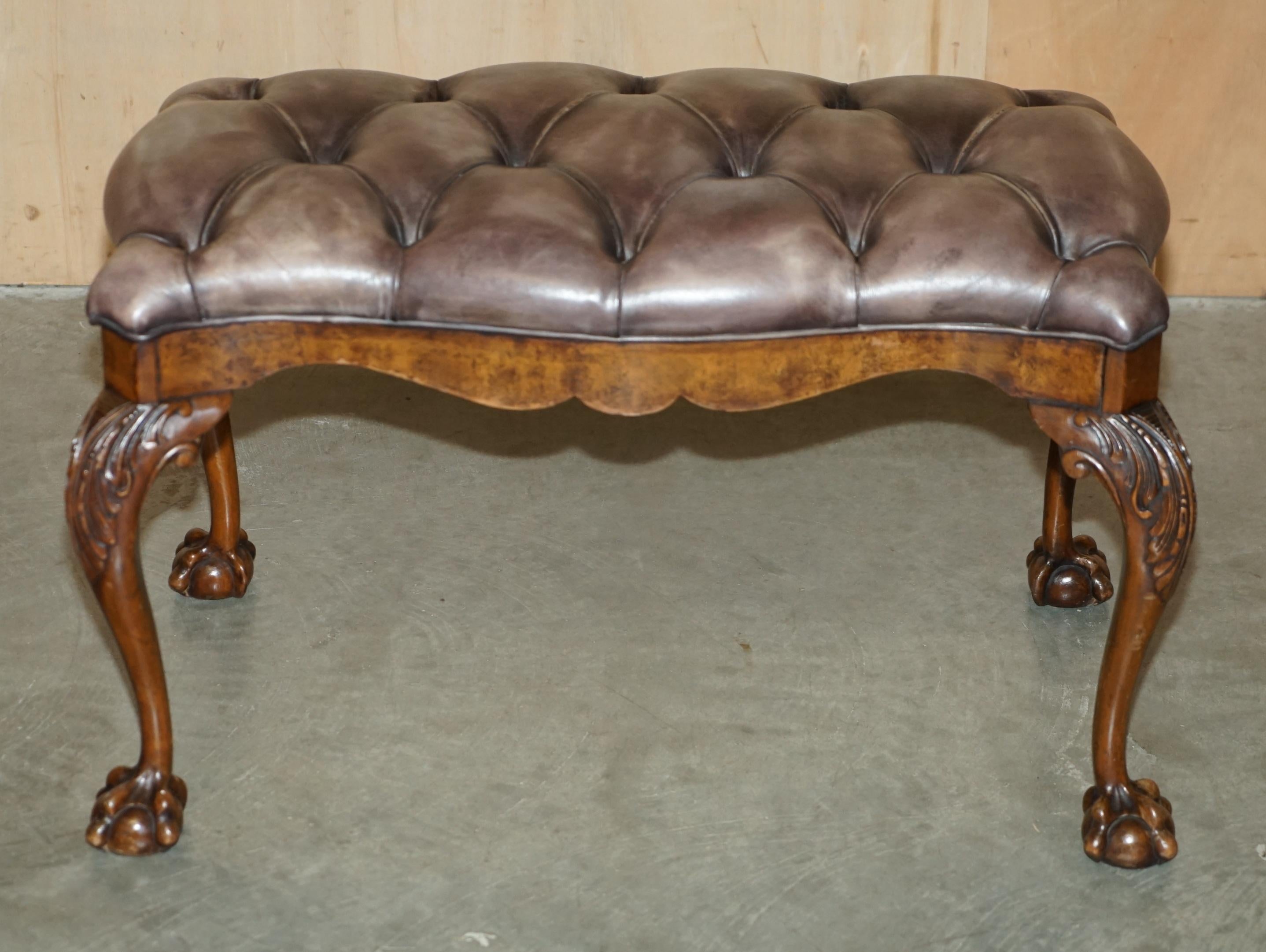 STUNNING ANTIQUE ENGLiSH BURR WALNUT BROWN LEATHER CLAW & BALL WINDOW SEATCH (panchina con finestra) in vendita 7