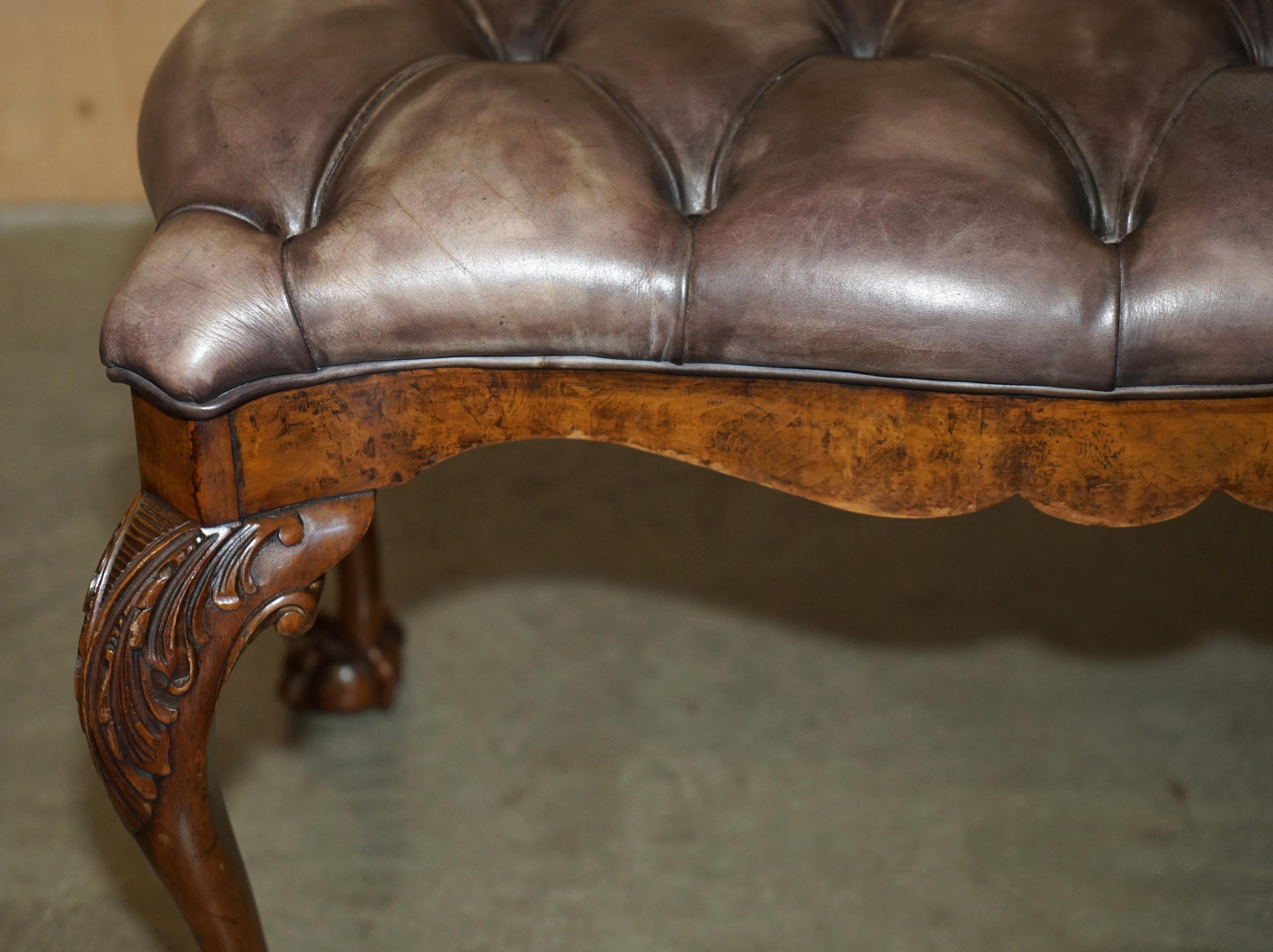 STUNNING ANTIQUE ENGLiSH BURR WALNUT BROWN LEATHER CLAW & BALL WINDOW SEATCH (panchina con finestra) in vendita 11