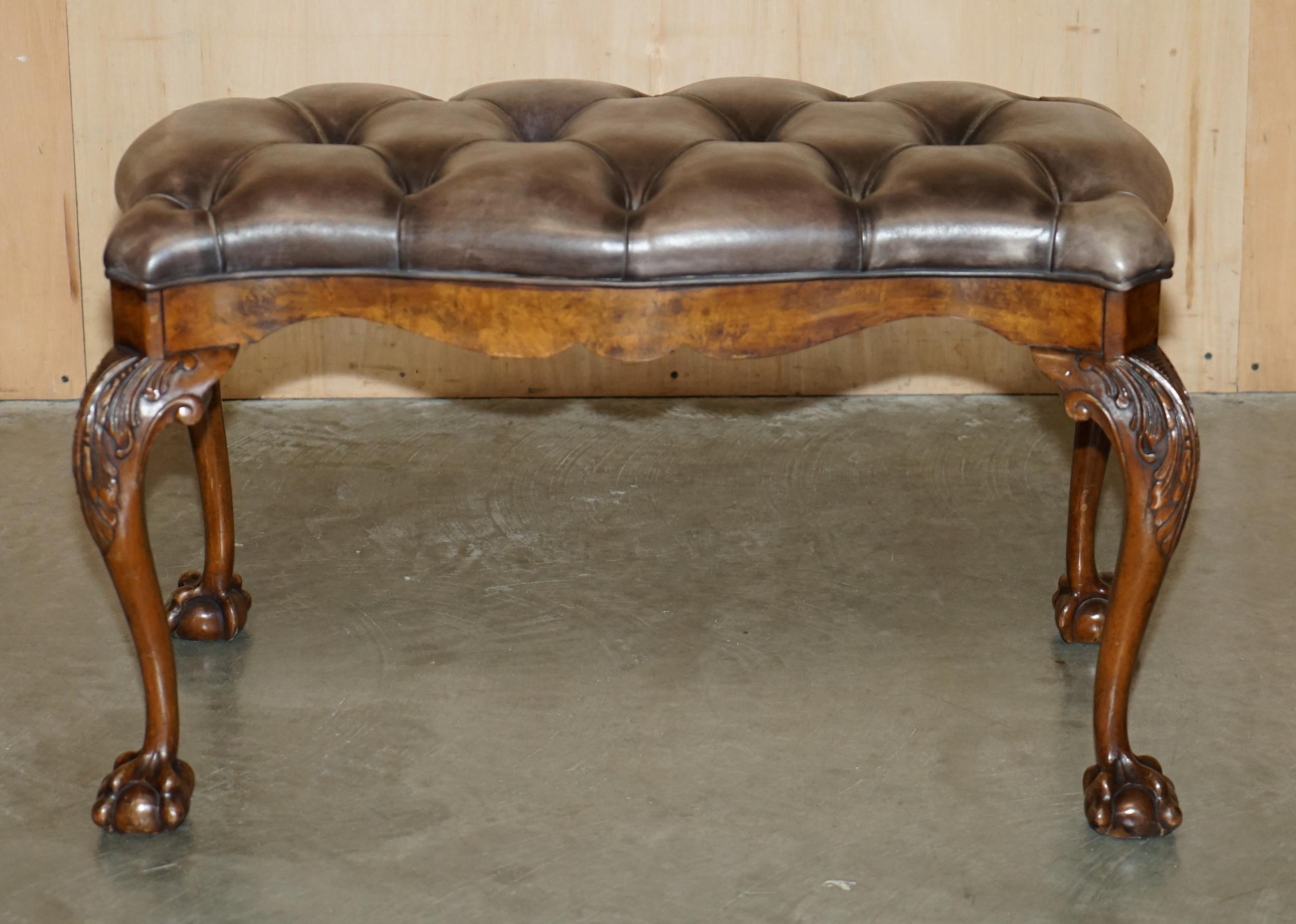 Vittoriano STUNNING ANTIQUE ENGLiSH BURR WALNUT BROWN LEATHER CLAW & BALL WINDOW SEATCH (panchina con finestra) in vendita