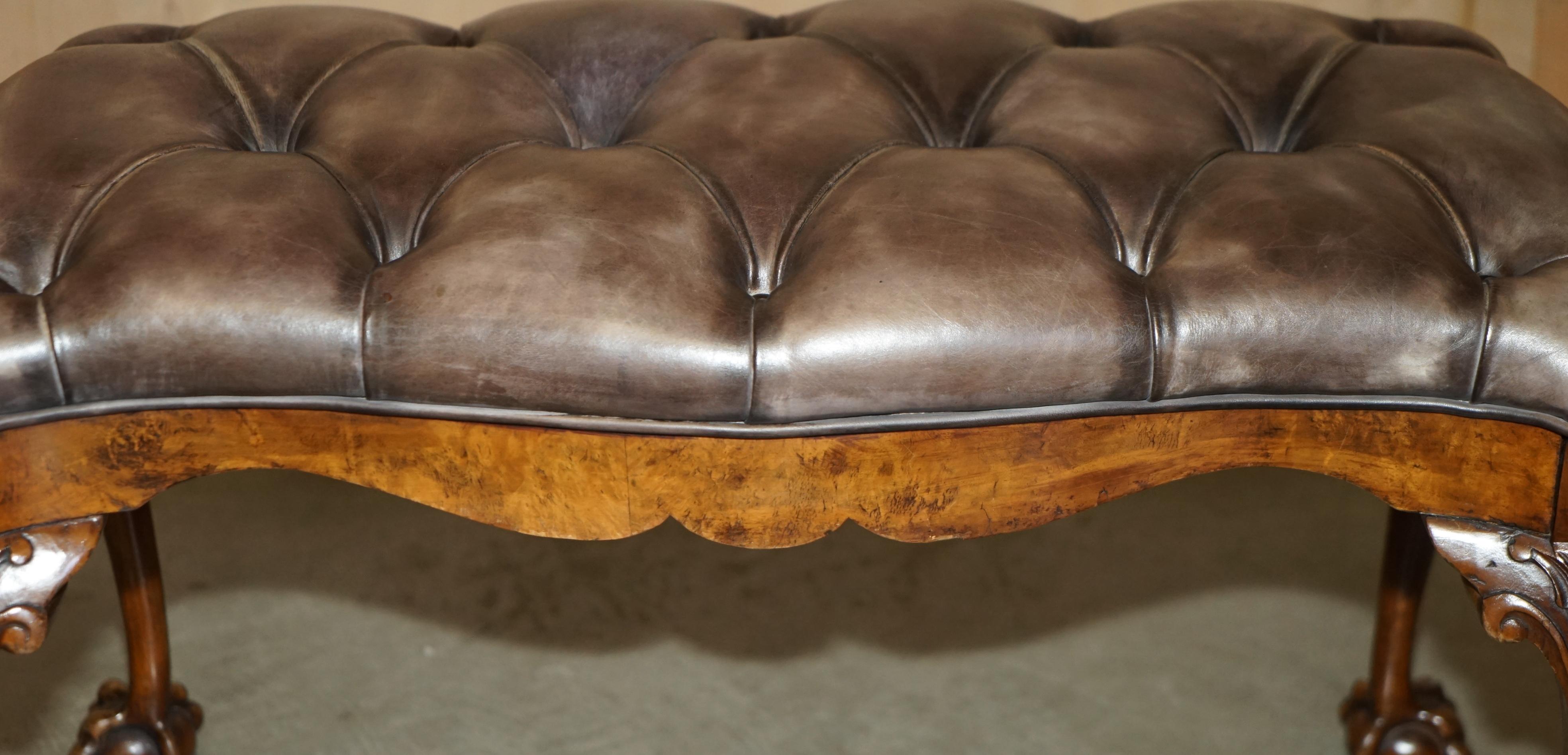 Pelle STUNNING ANTIQUE ENGLiSH BURR WALNUT BROWN LEATHER CLAW & BALL WINDOW SEATCH (panchina con finestra) in vendita