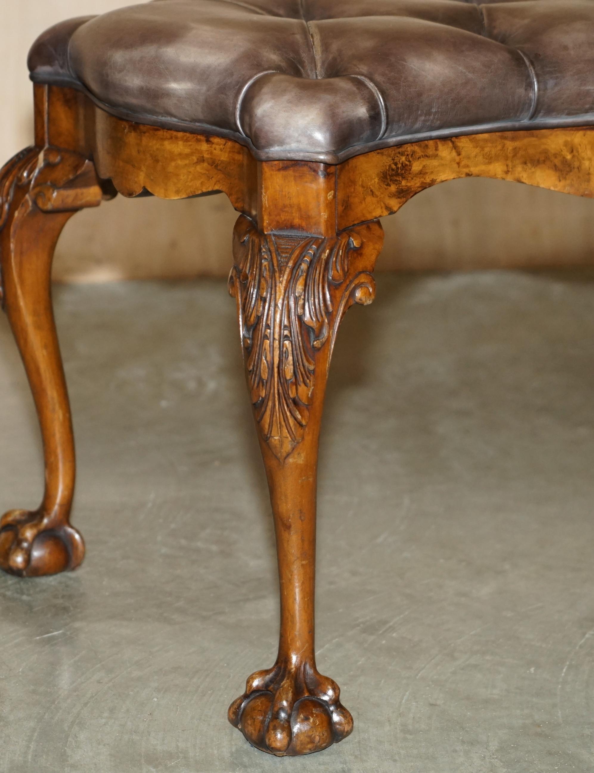 STUNNING ANTIQUE ENGLiSH BURR WALNUT BROWN LEATHER CLAW & BALL WINDOW SEATCH (panchina con finestra) in vendita 1