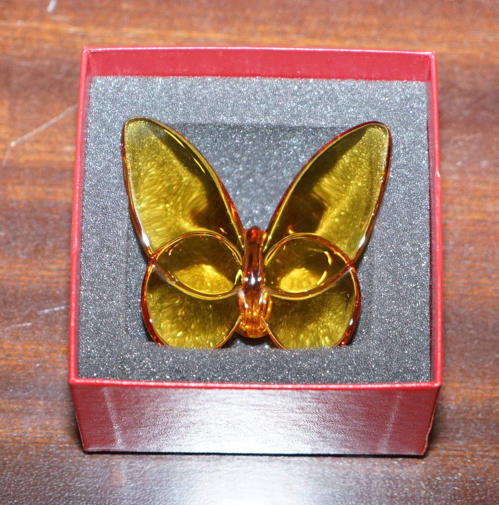 baccarat gold butterfly