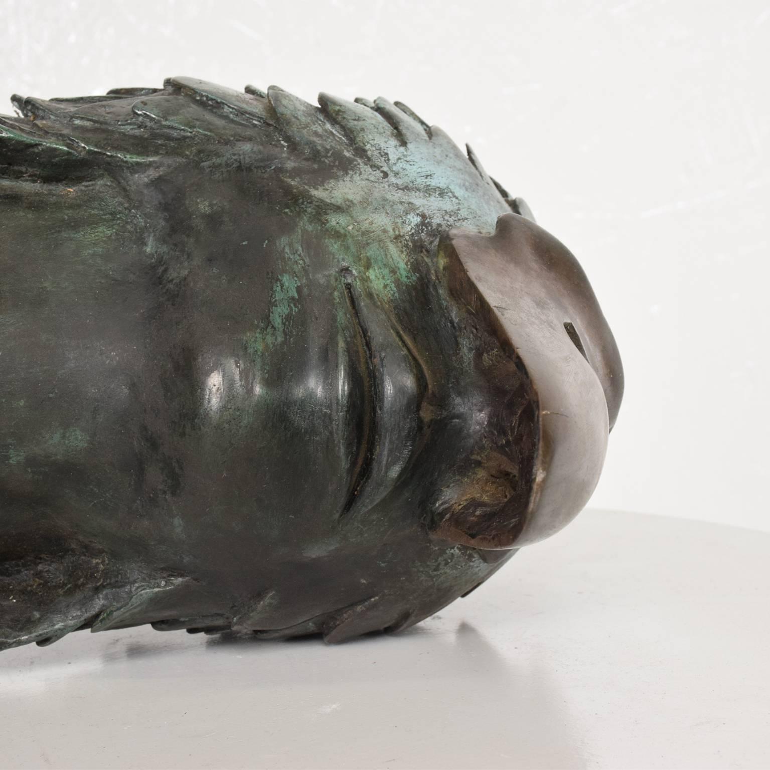 Stunning Brutalist Bronze Sculpture of a Bird-Man's Head, Mexico, 1960s 3