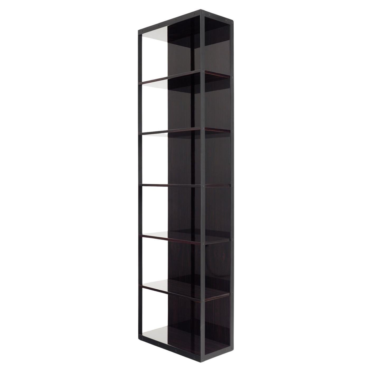 Stunning Christian Liaigre “Editeur” Shelf For Sale