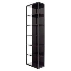 Stunning Christian Liaigre “Edituer” Shelf