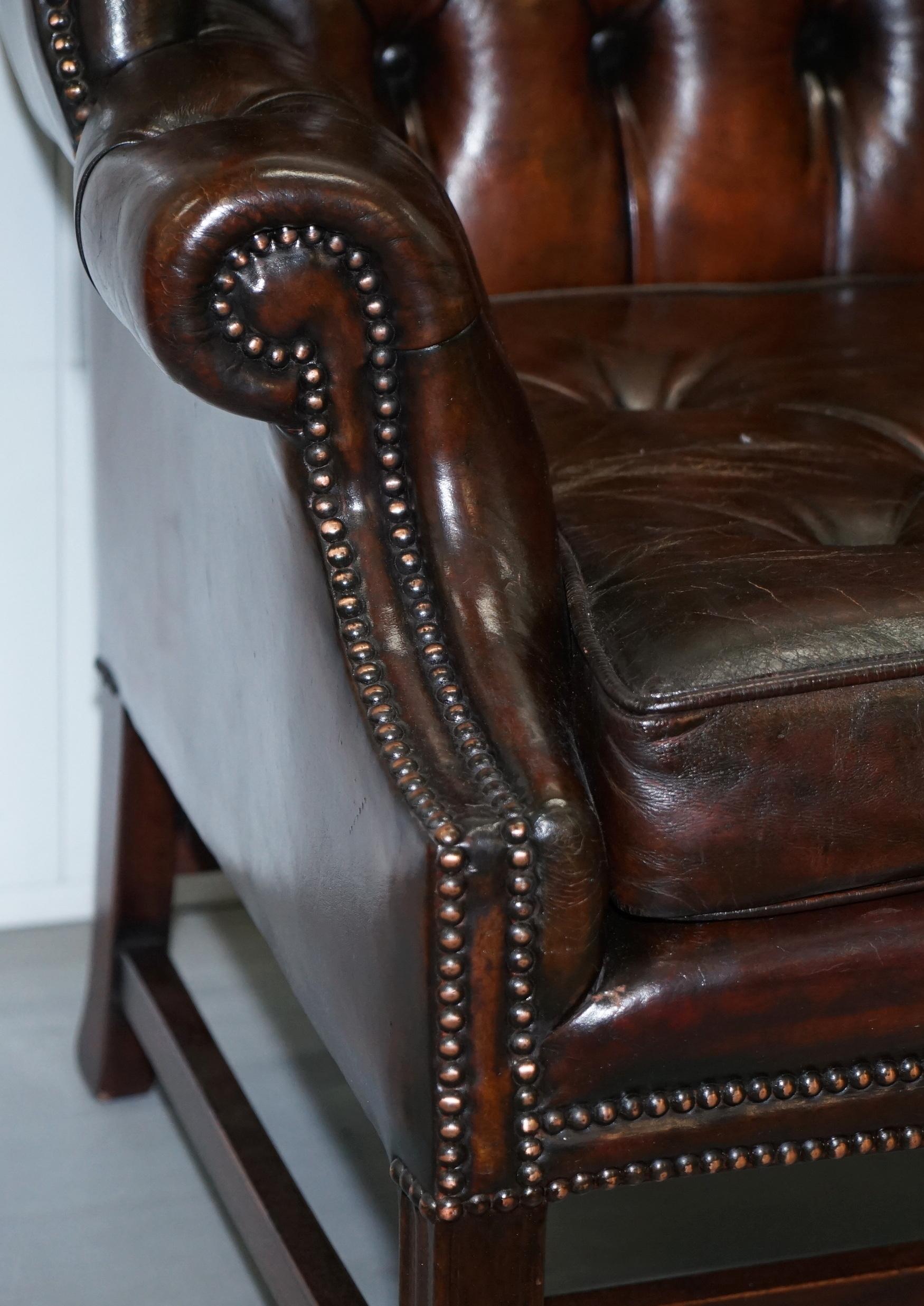 Stunning Cigar Brown Leather Chesterfield Wingback Armchair Chippendale Cushion 5