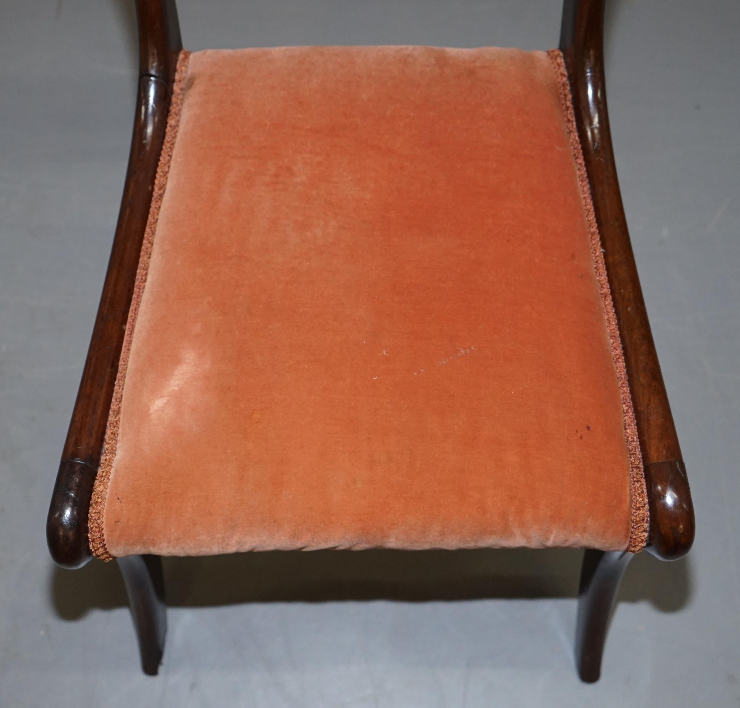 Stunning circa 1810 Regency Flamed Mahogany Dining Chair Ornately Carved Frame 4