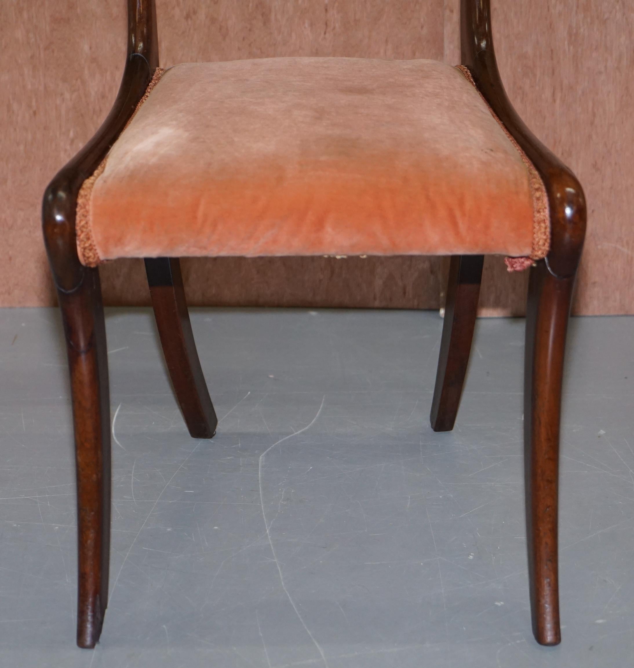 Stunning circa 1810 Regency Flamed Mahogany Dining Chair Ornately Carved Frame 5
