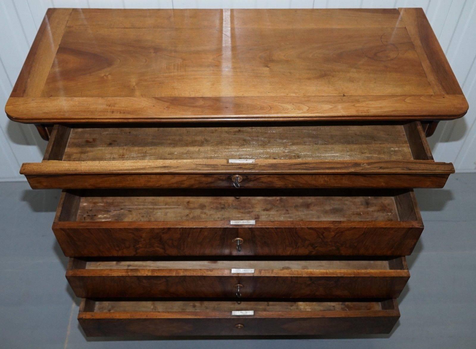 Stunning circa 1850 Solid Walnut Biedermeier Chest / Bank of Drawers Patina 4