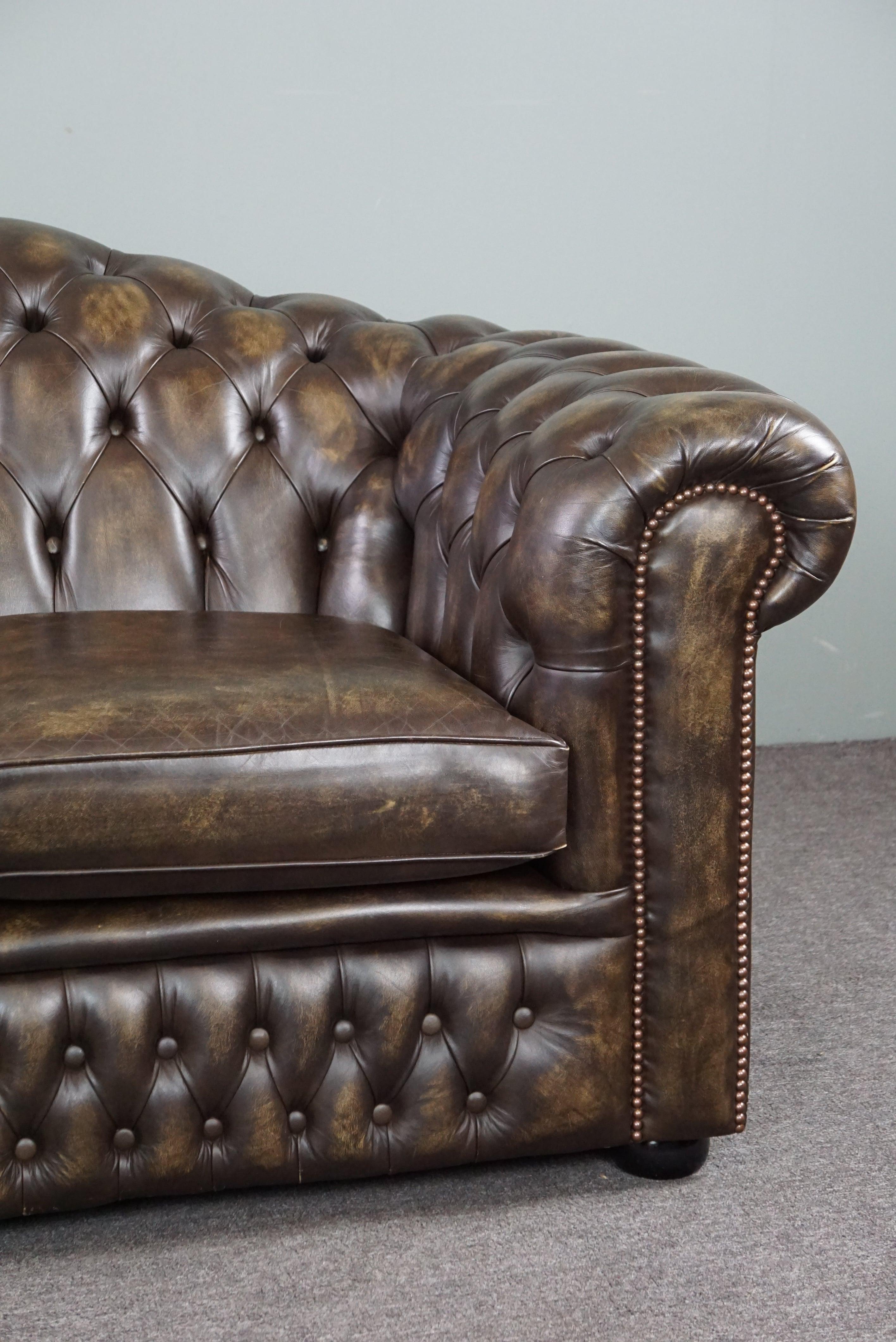 Atemberaubendes Chesterfield-Sofa aus Rindsleder mit 2 Sitzen im Angebot 1
