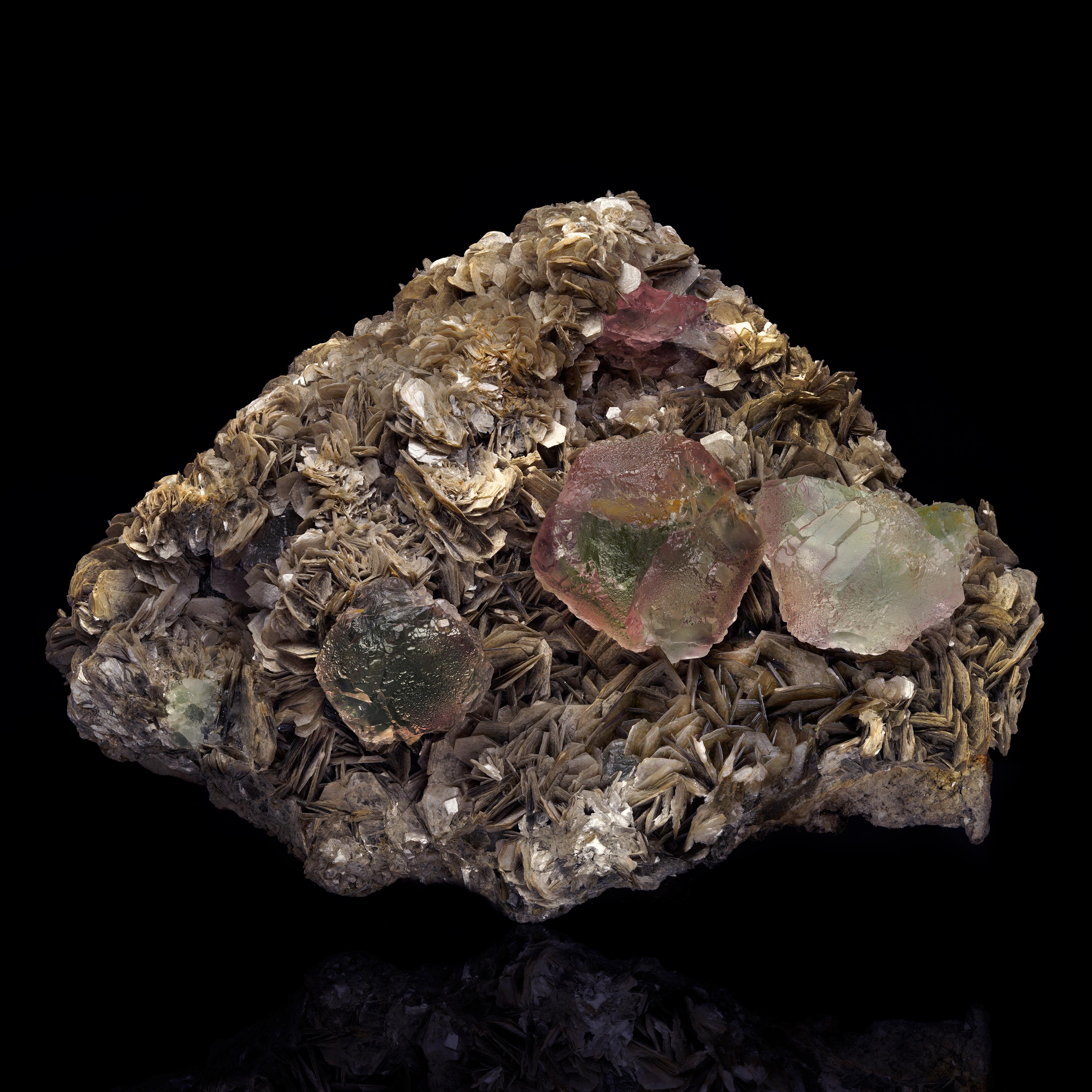 Presenting a breathtaking Fluorite on Muscovite specimen from Pakistan, where deep green fluorite crystals meet the golden shimmer of muscovite, creating a mesmerizing natural artwork. The fluorite crystals, renowned for their perfect edge