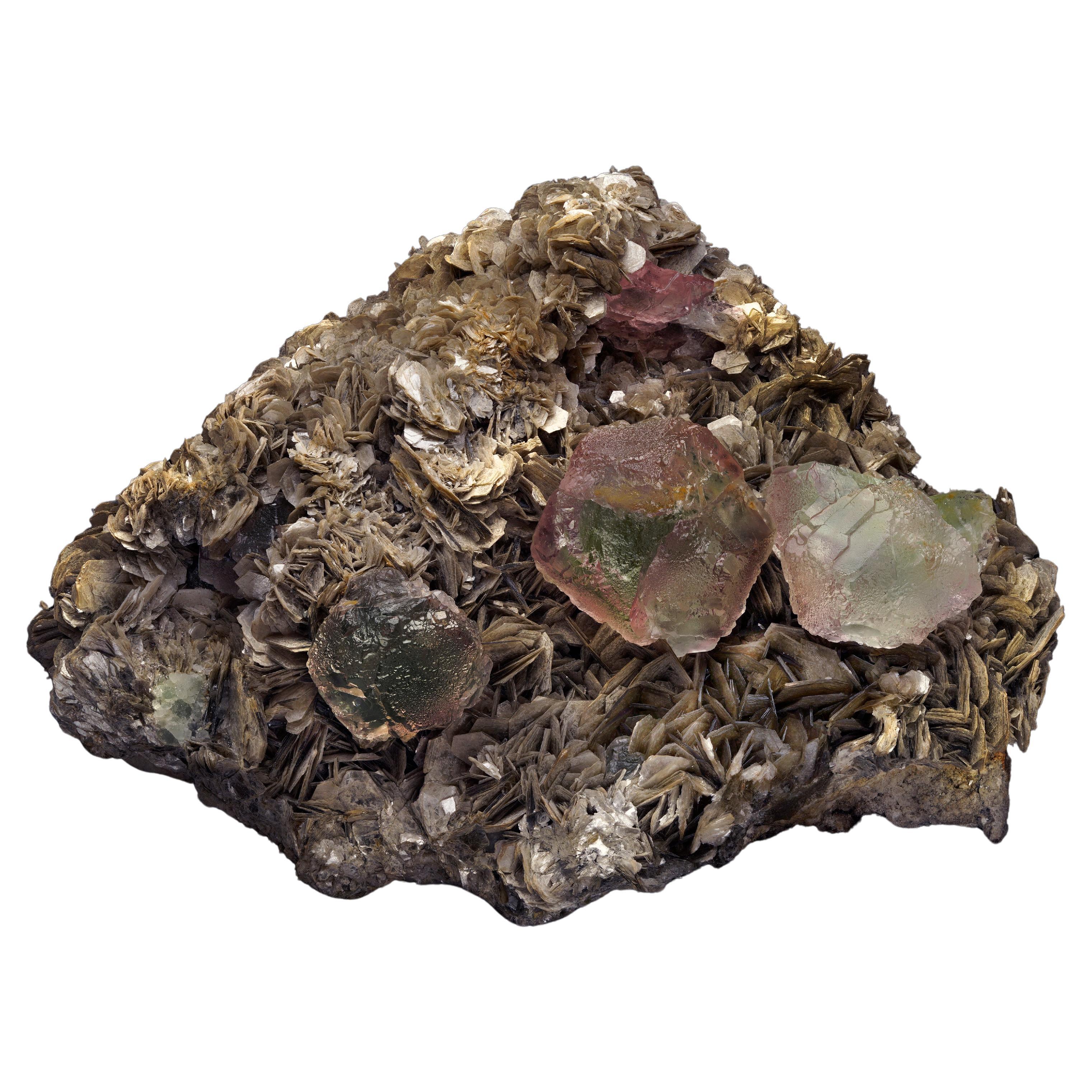 Stunning Fluorite on Muscovite from Pakistan For Sale