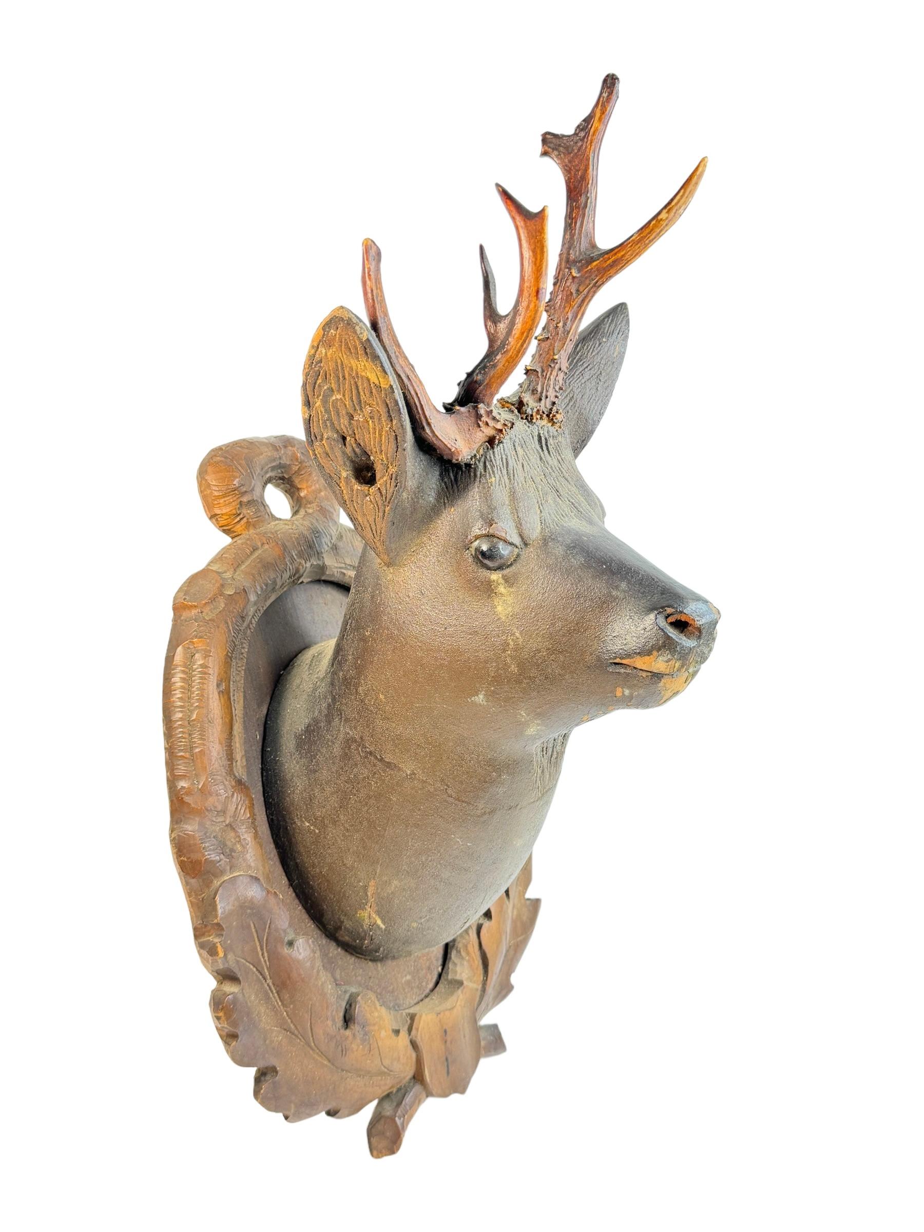 Stunning Folk Art Wood Carved Deer Head with Real Antlers, Austria 19th Century For Sale 5