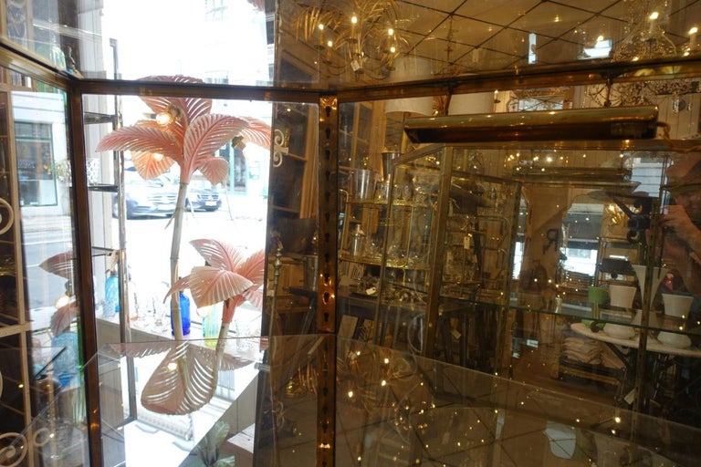Stunning French 6 Sided Showcase / Display Cabinet For Sale 2